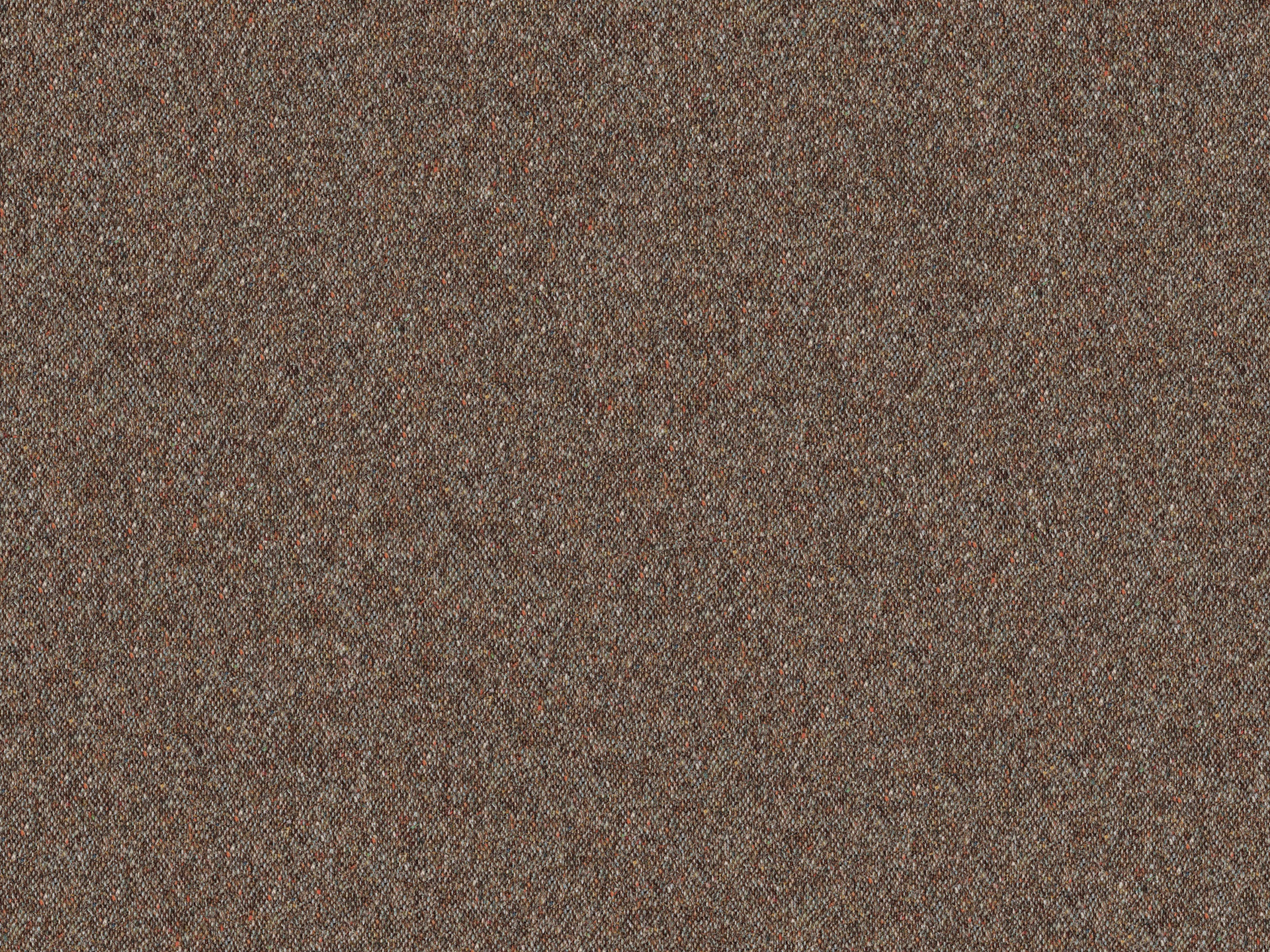 Tweed T54
