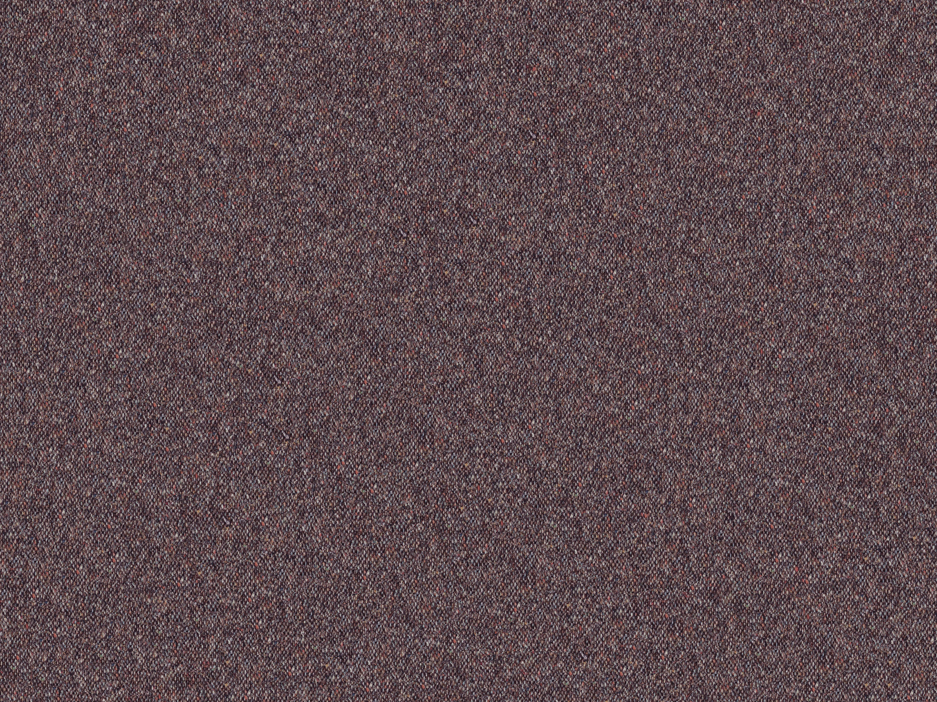 Tweed T99