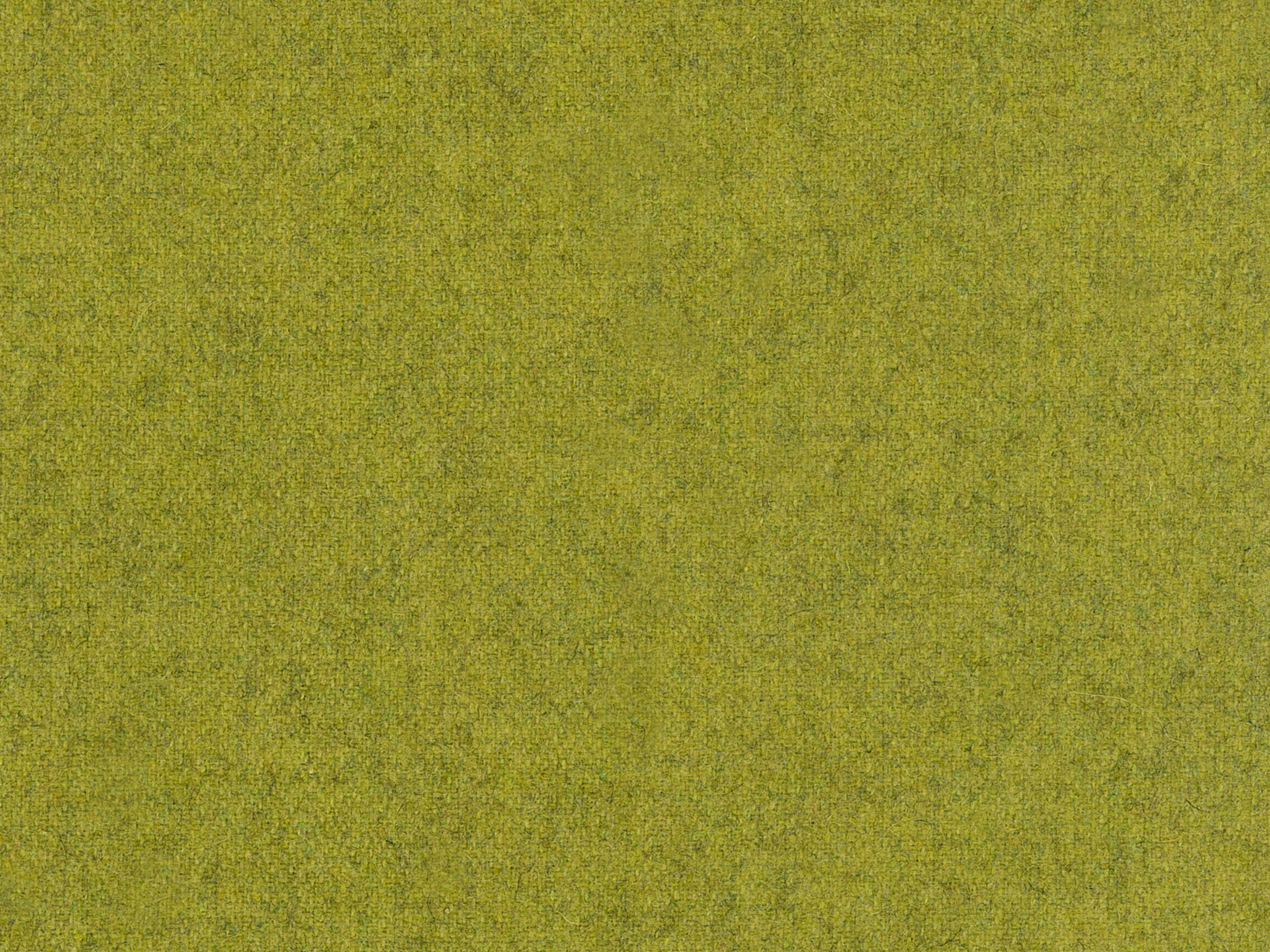 Woolland 08