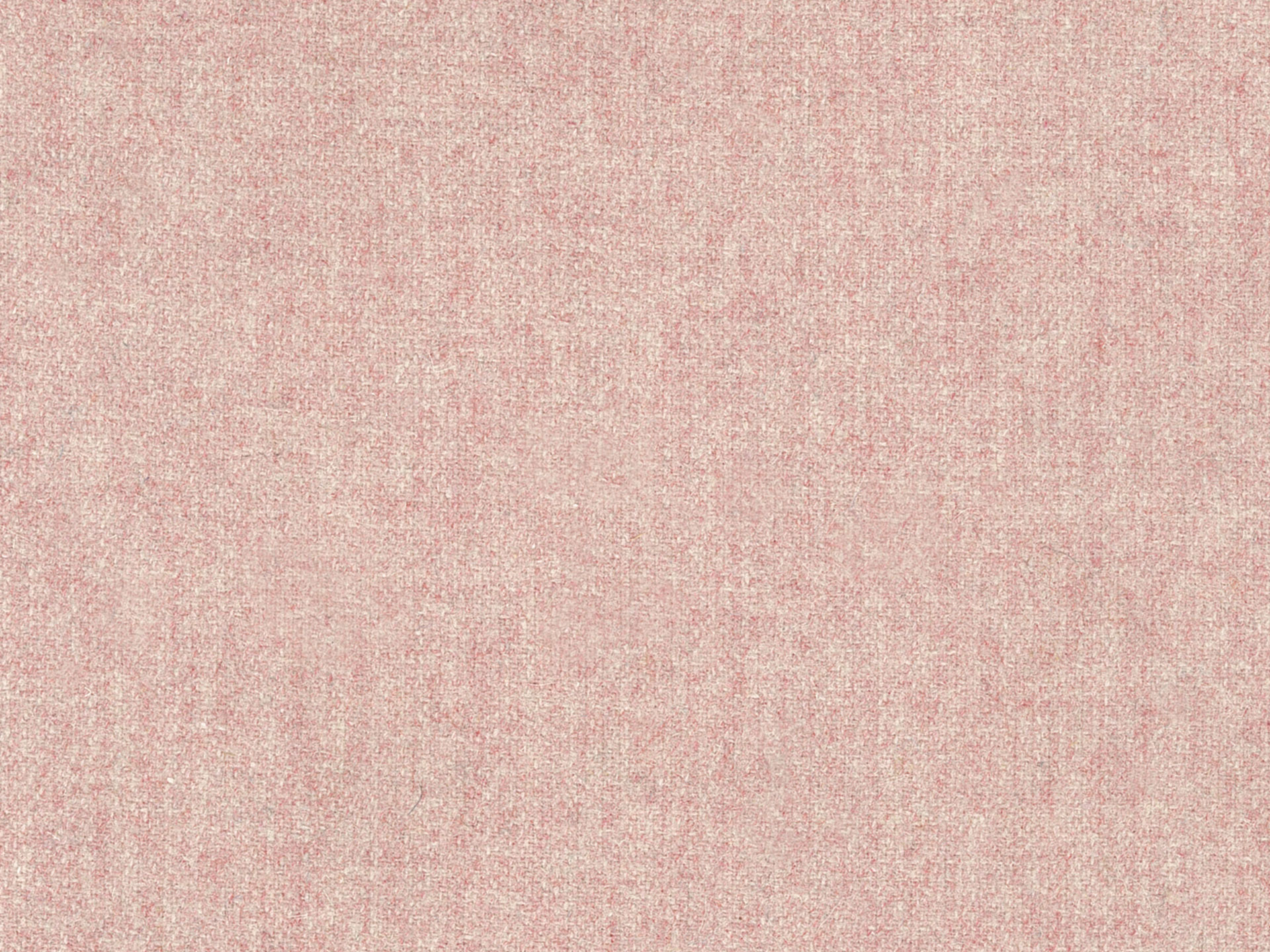 Woolland 03