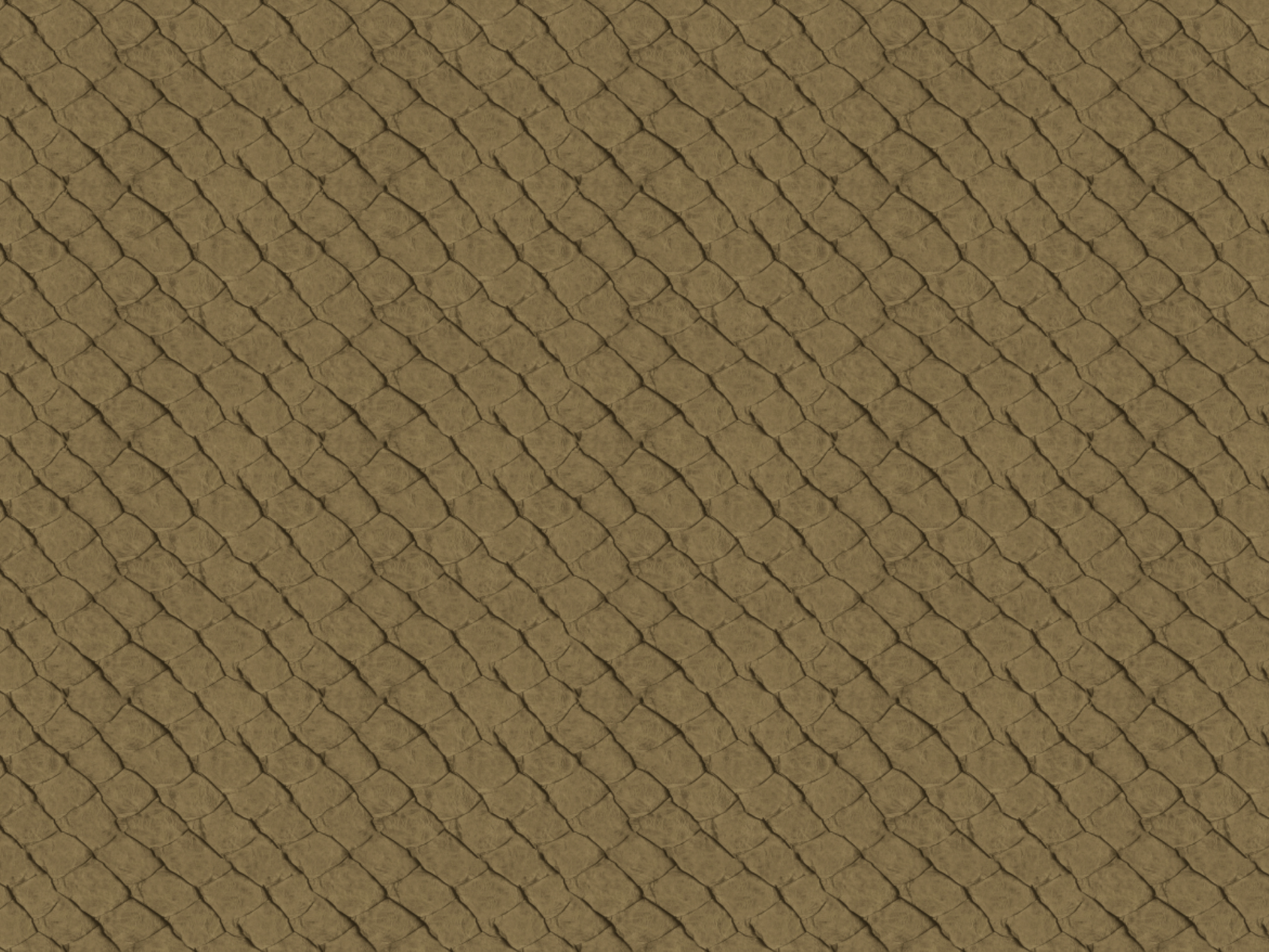 Africa Fish T44