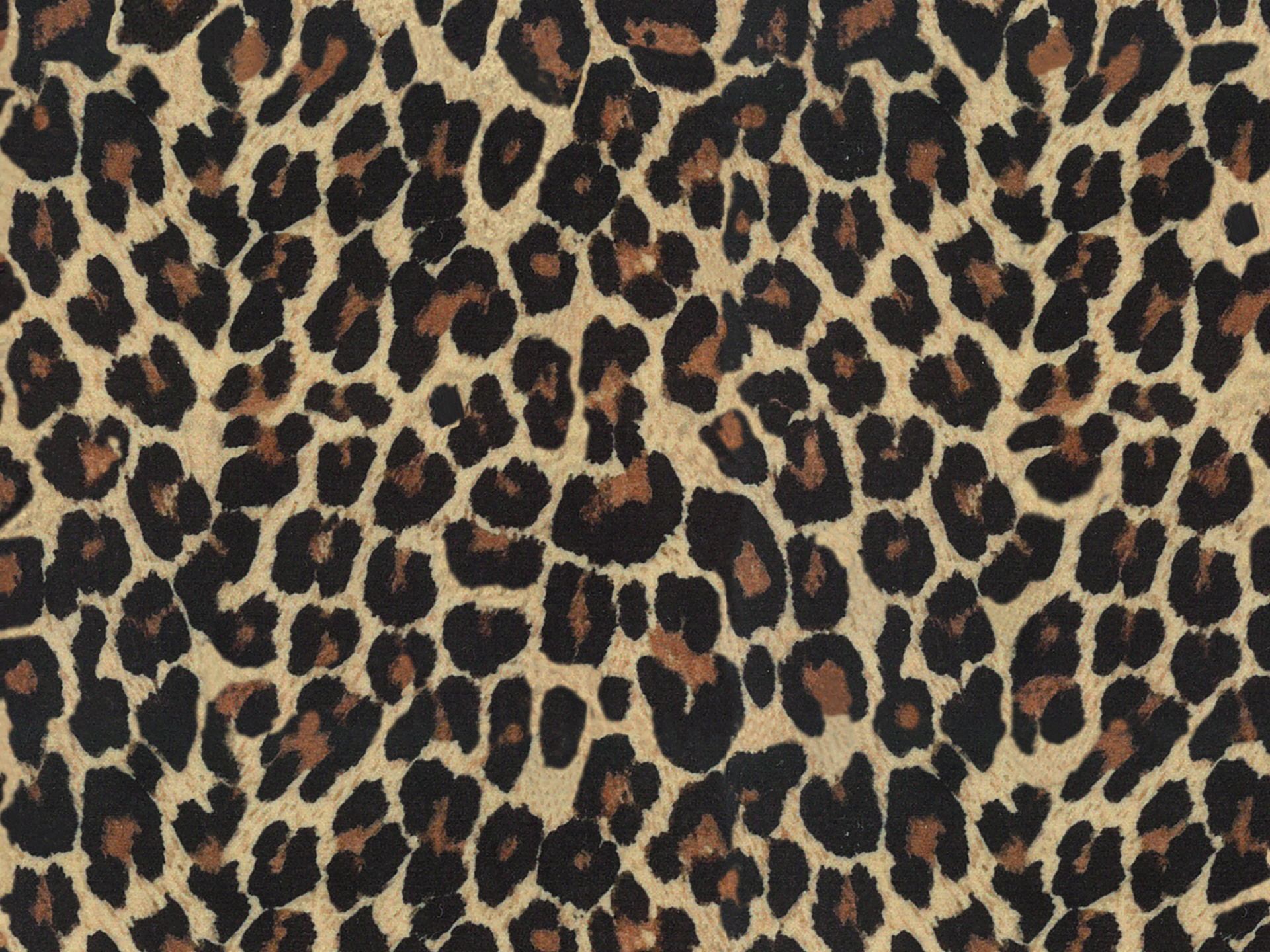 Africa Gepard T34