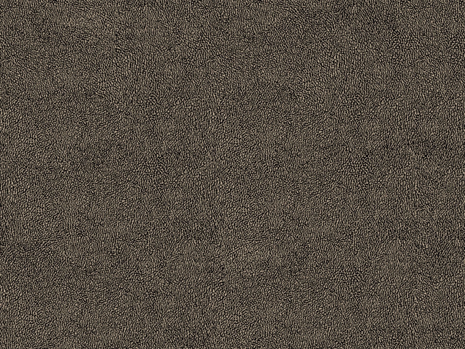 Africa Skin T44