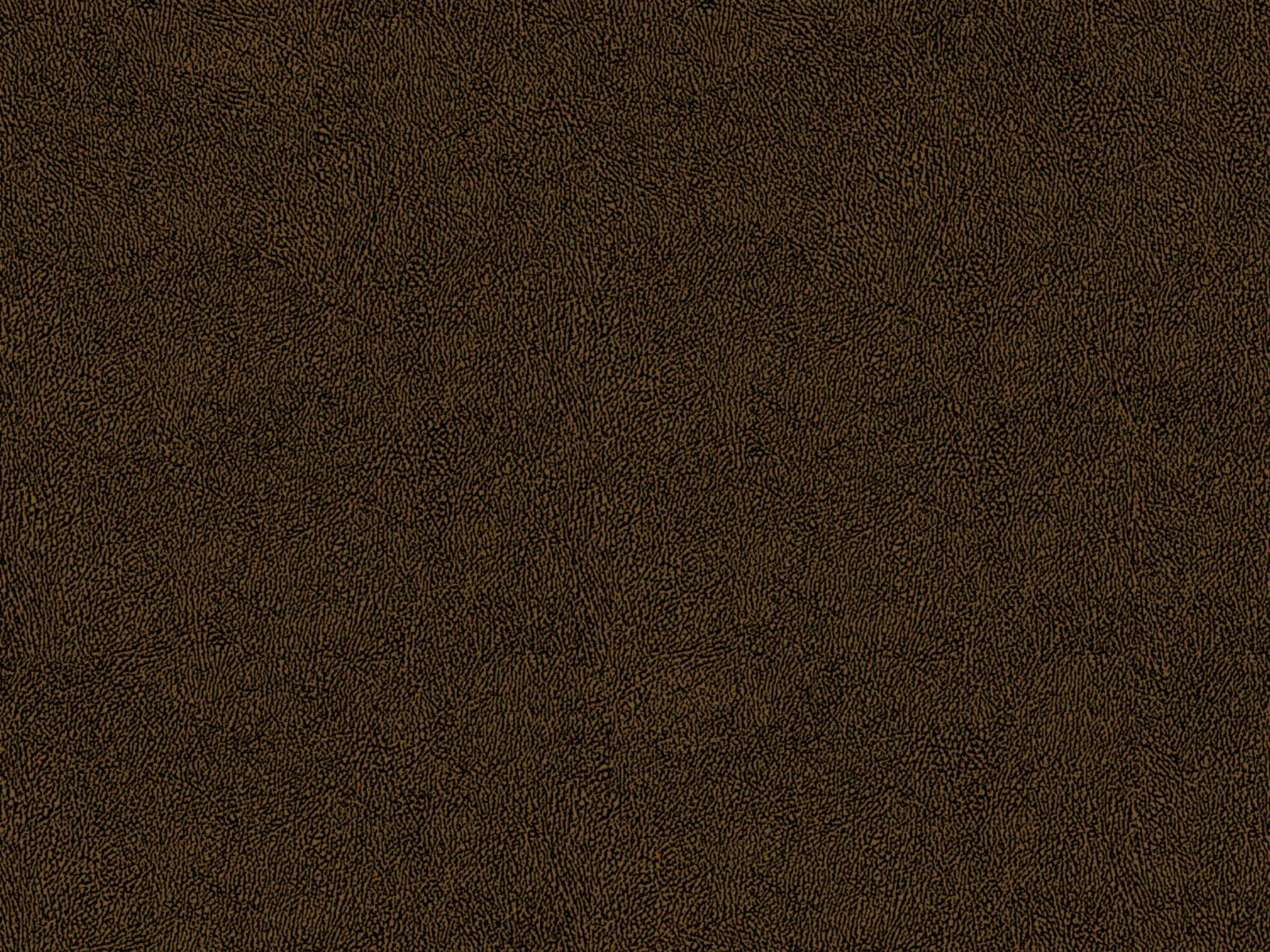 Africa Skin T74