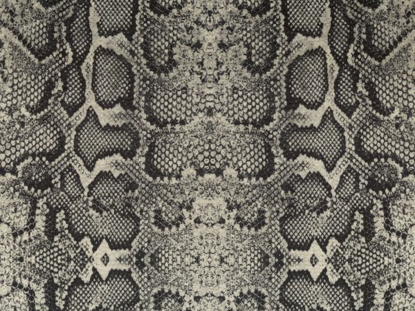 Africa Snake