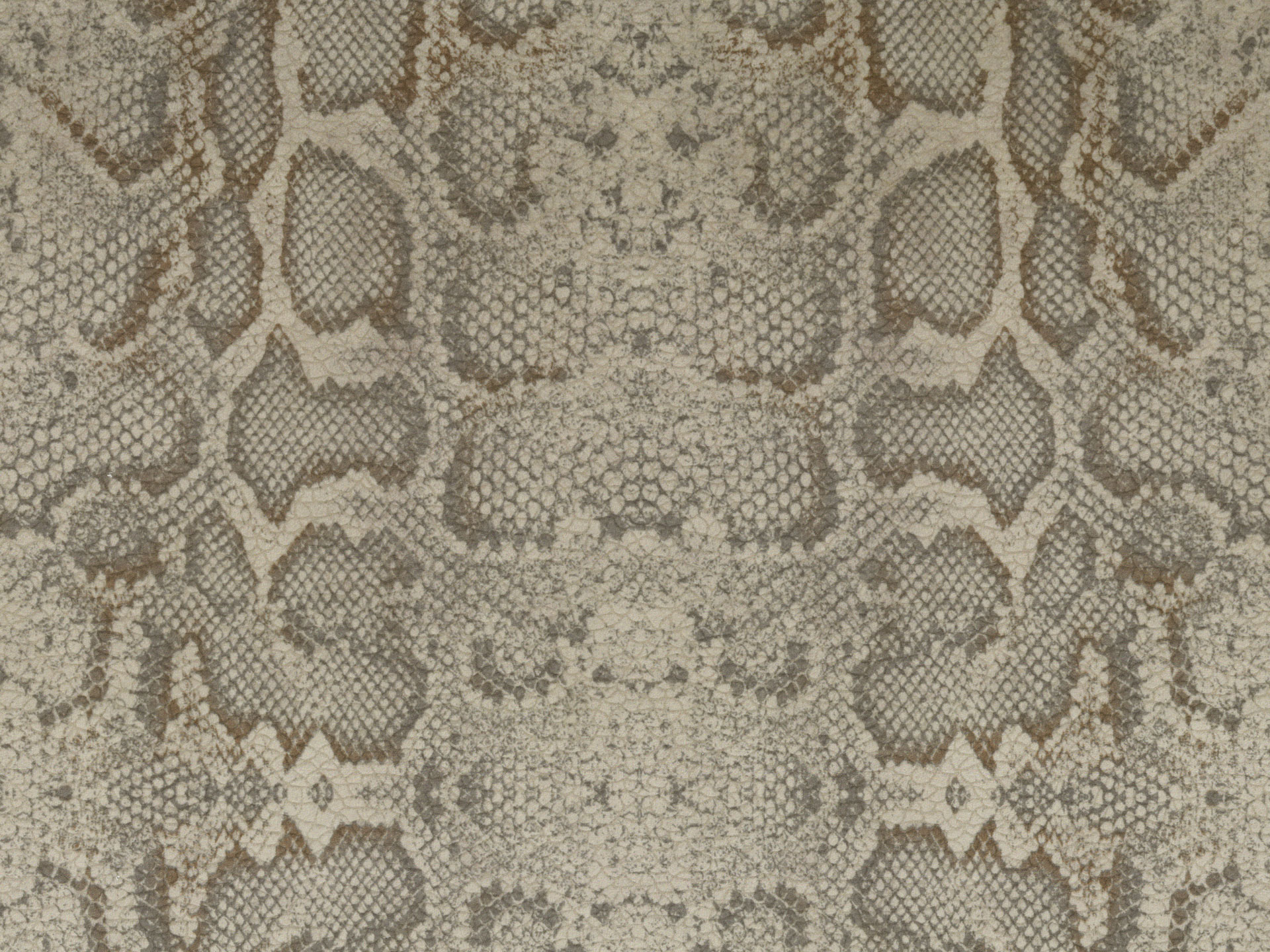 Africa Snake T24