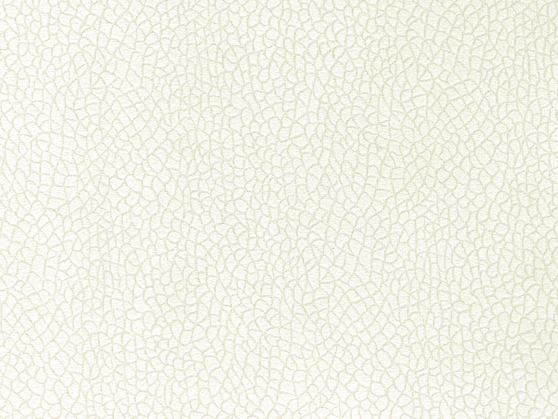 Bora Terra 01