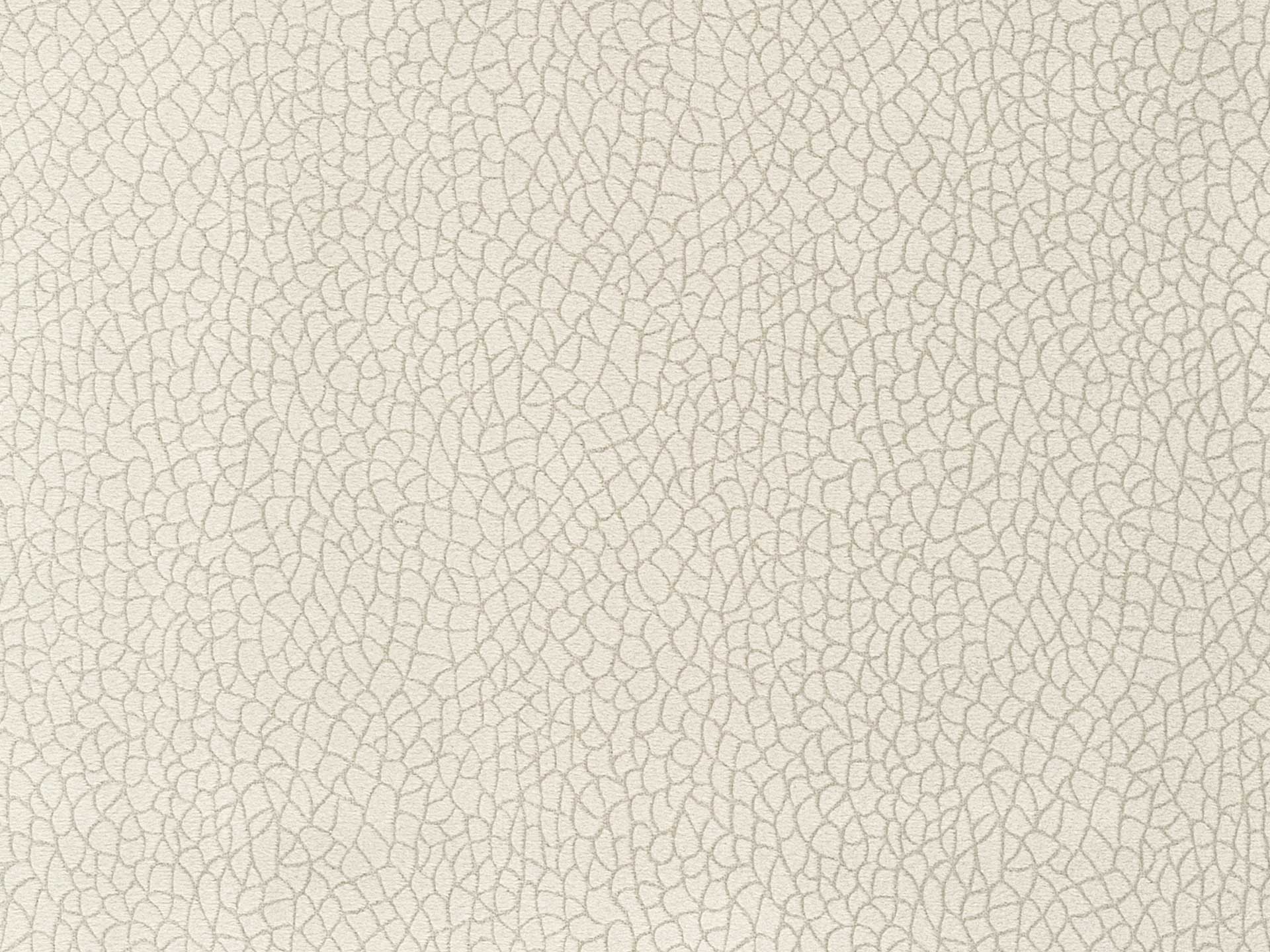 Bora Terra 04
