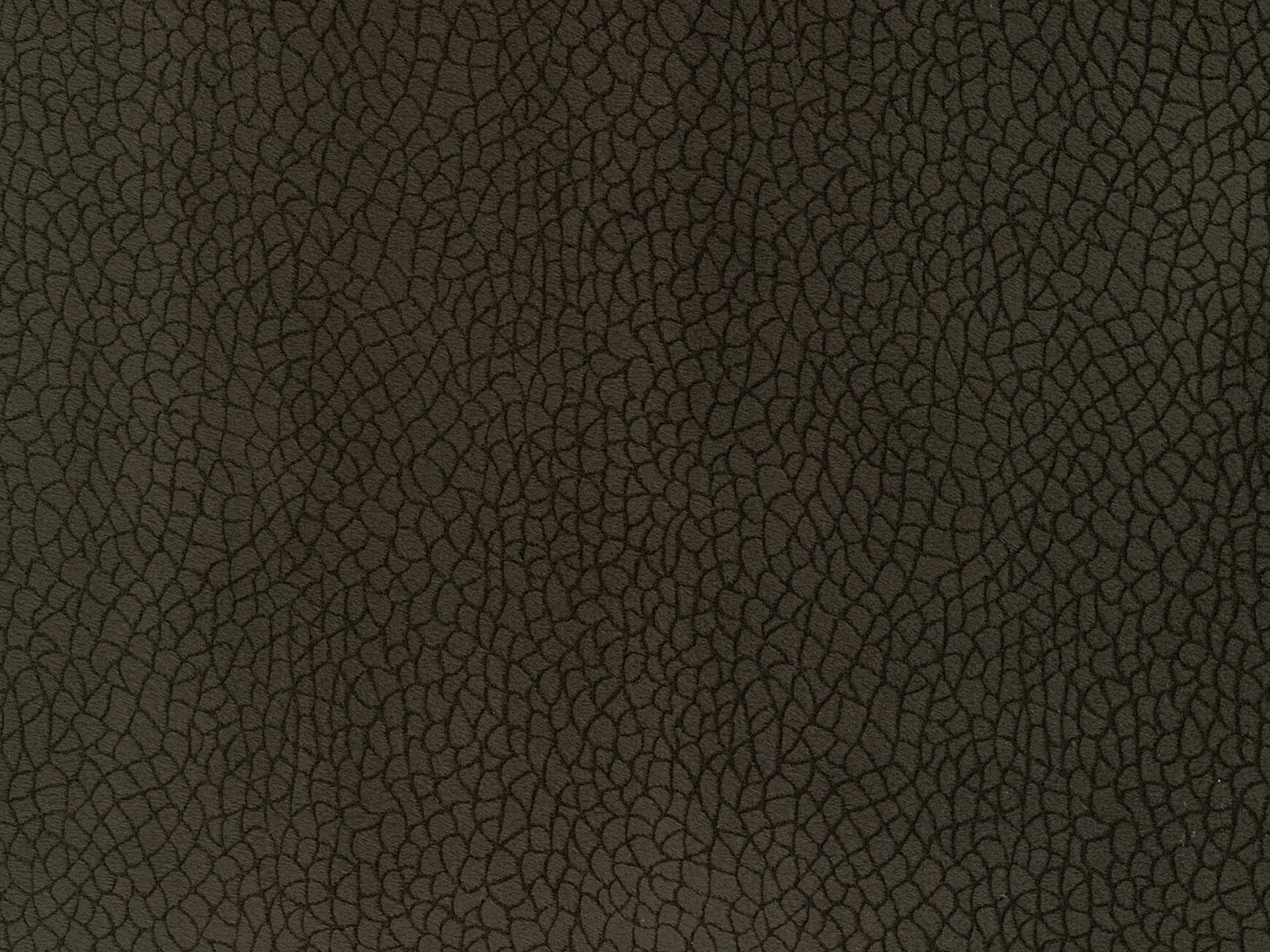 Bora Terra 84