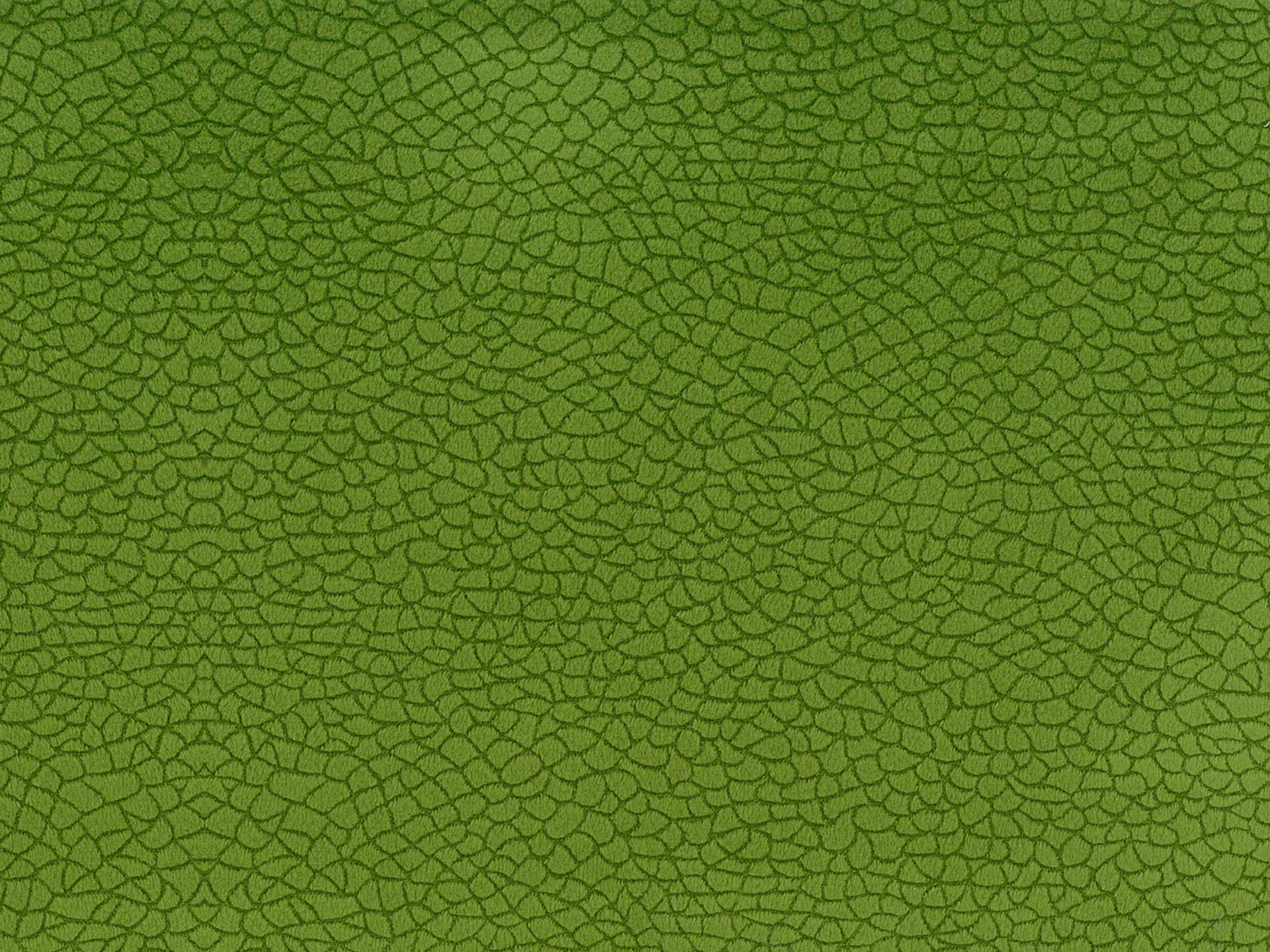 Bora Terra 38