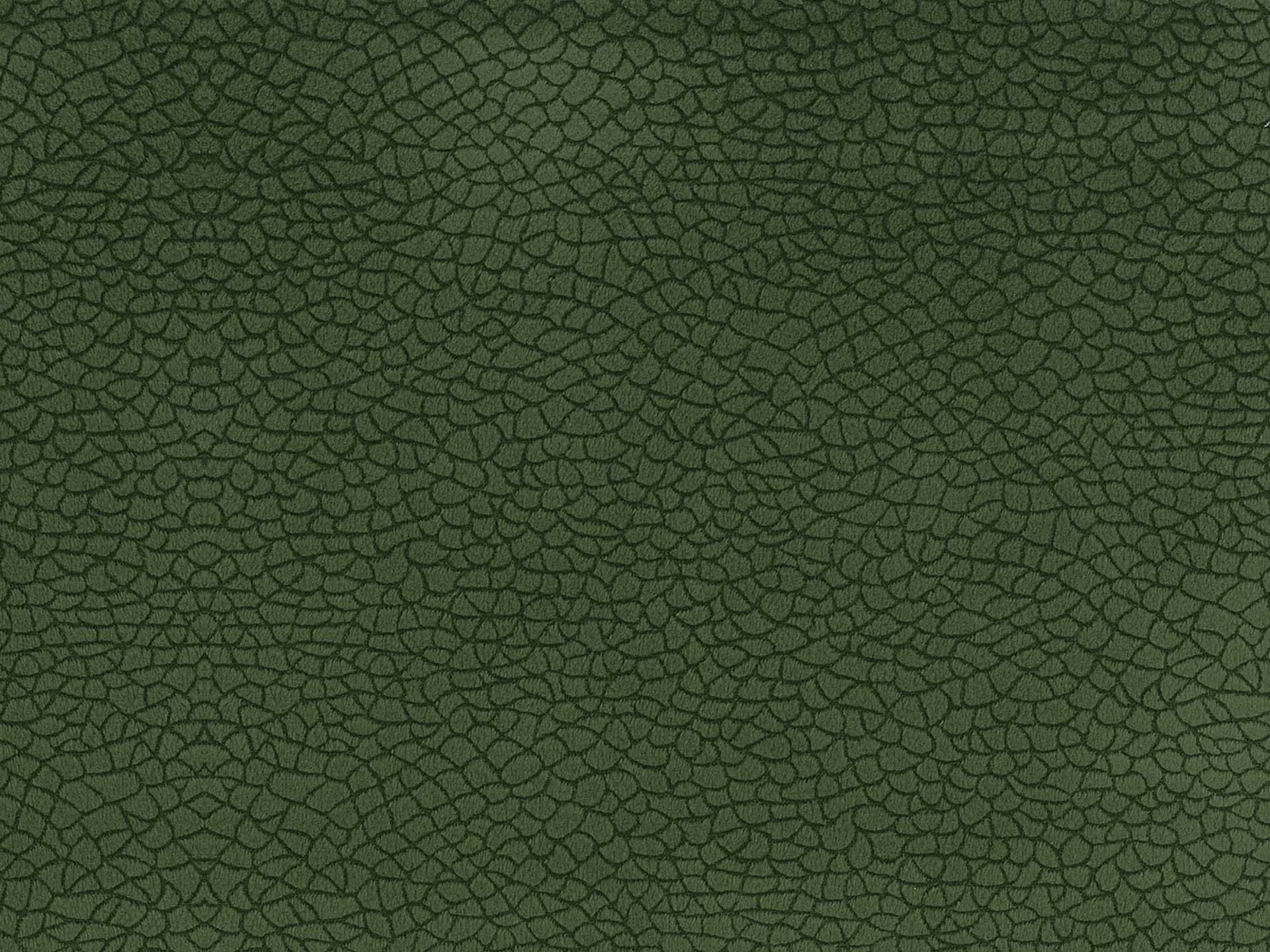 Bora Terra 48