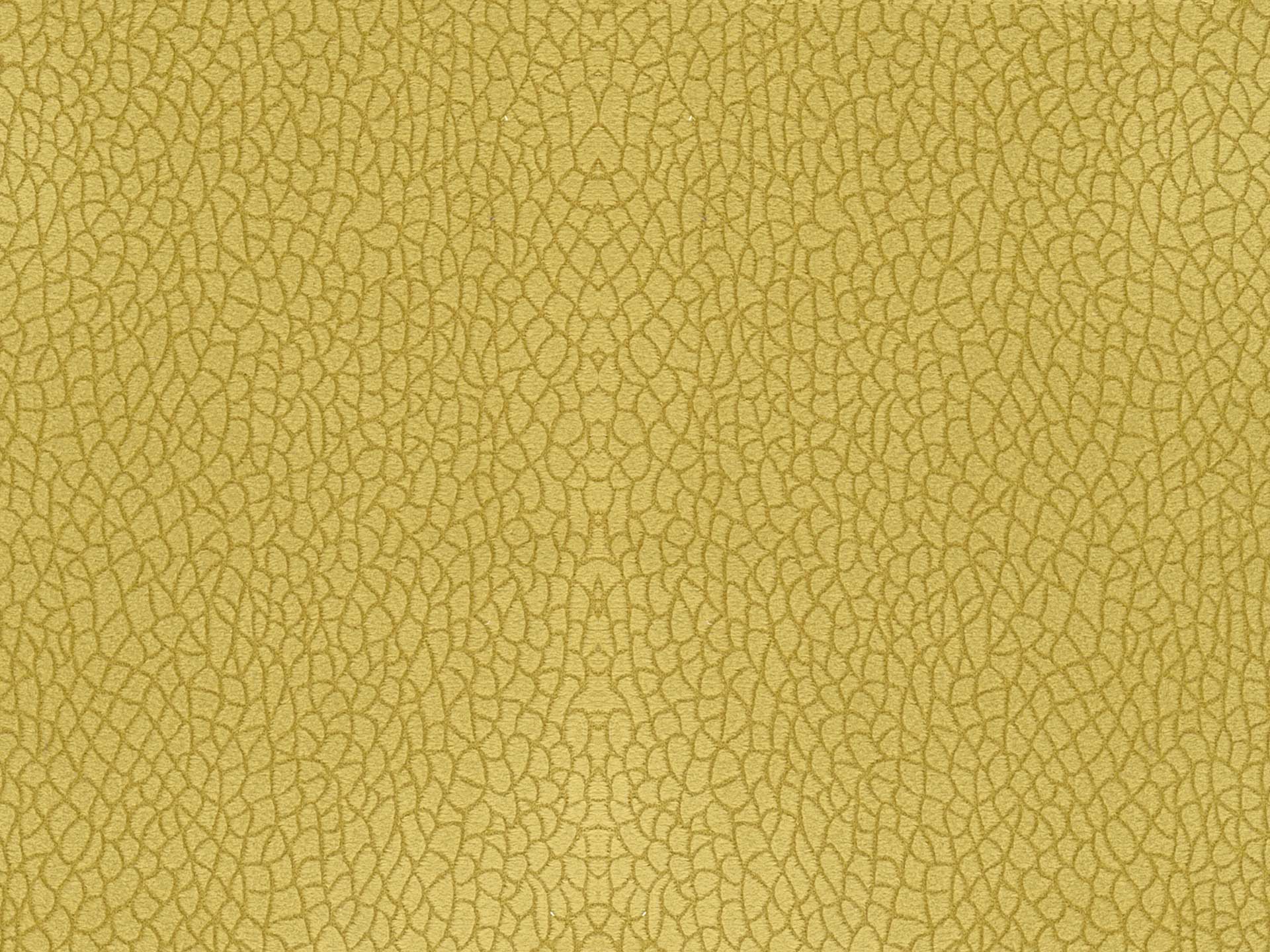 Bora Terra 25