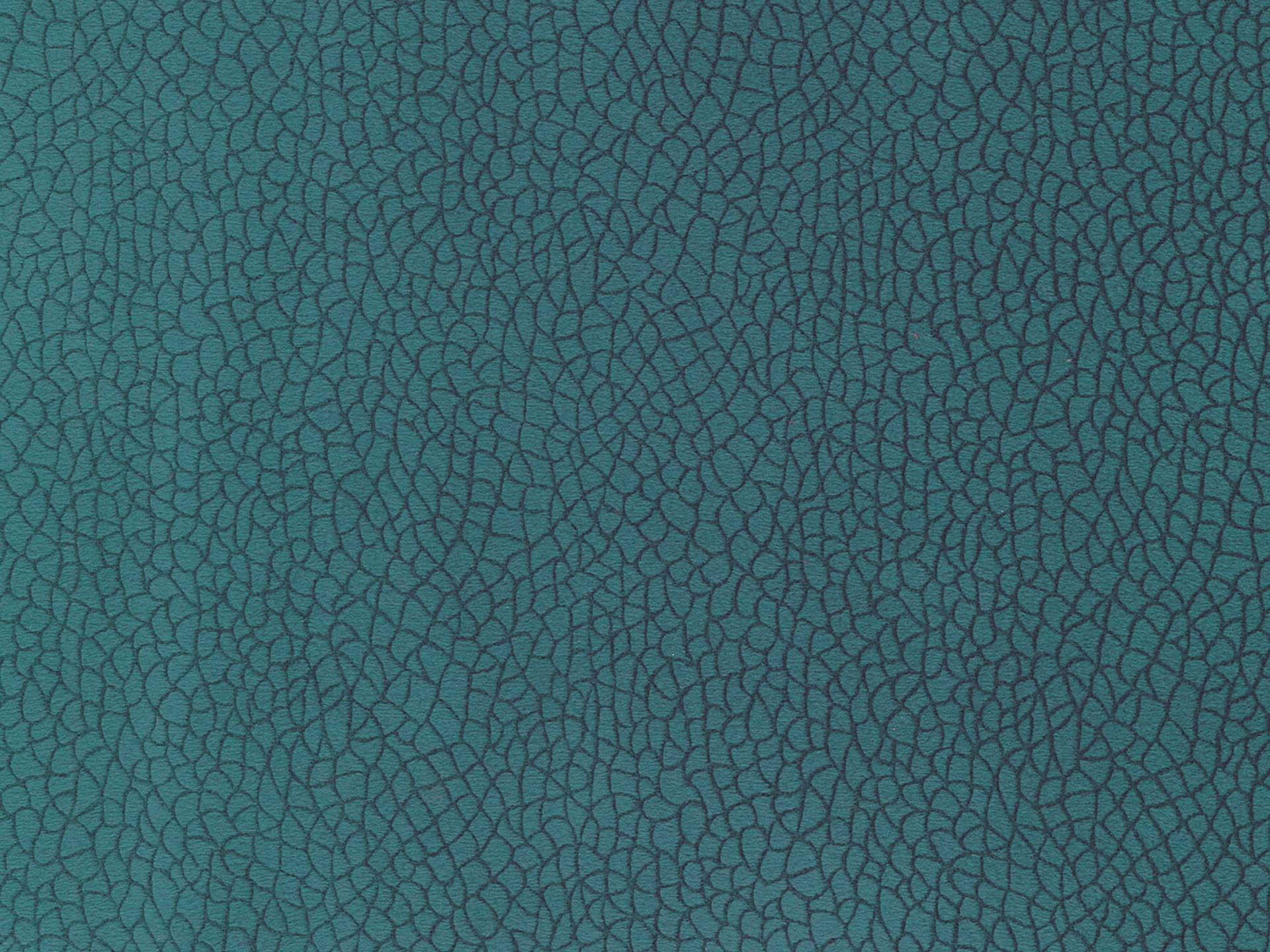Bora Terra 57