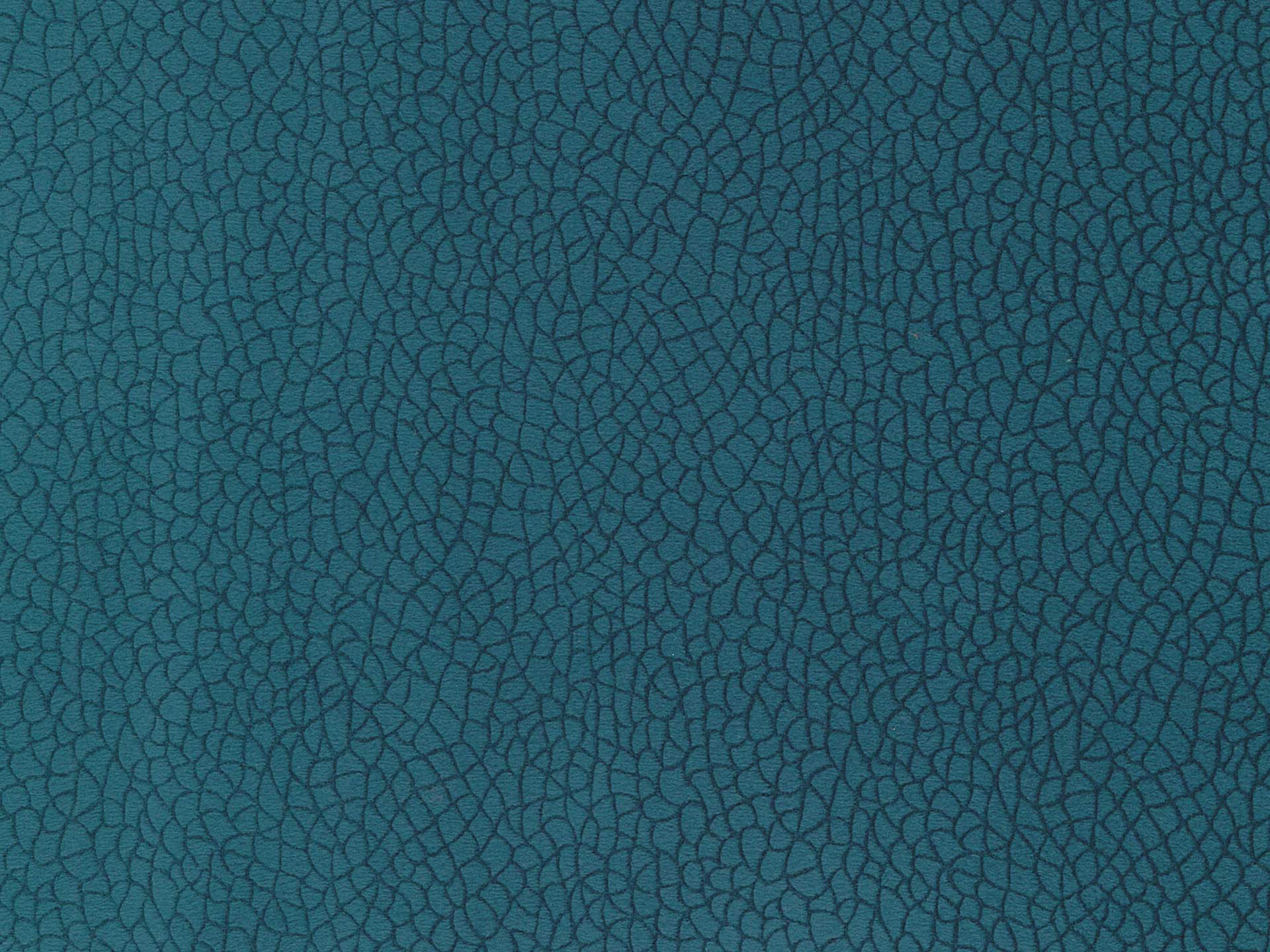 Bora Terra 67