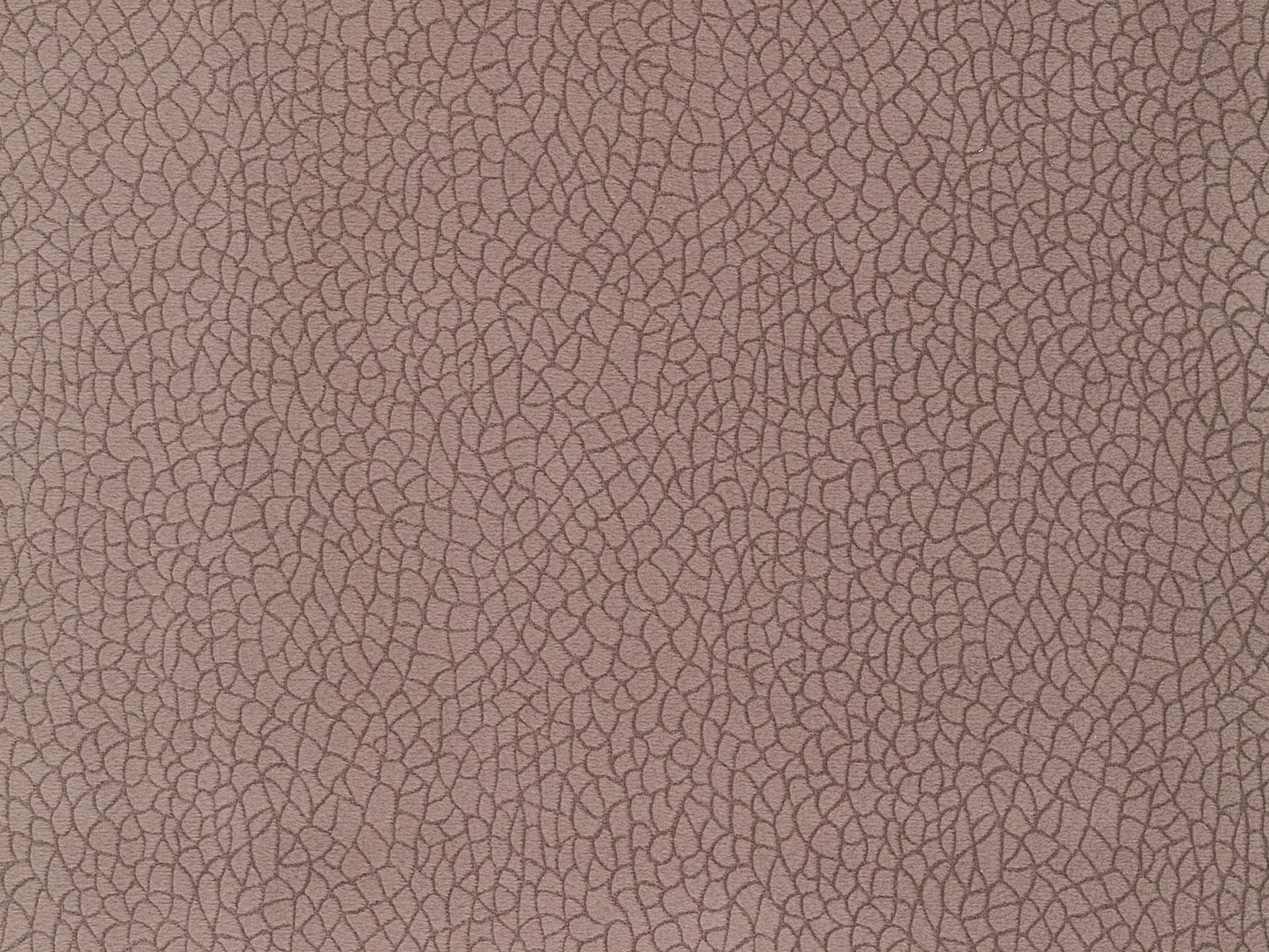 Bora Terra 13
