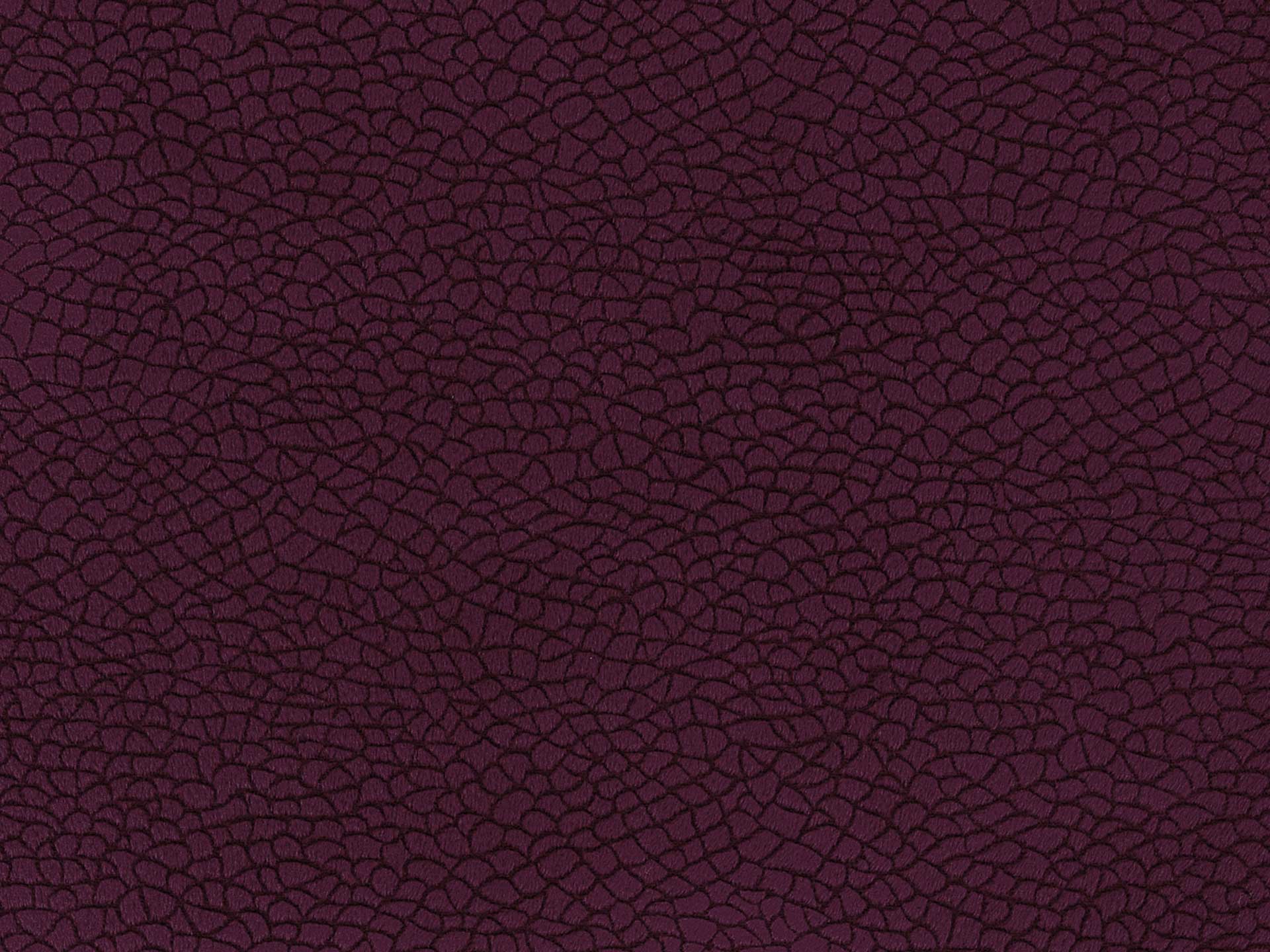 Bora Terra 79