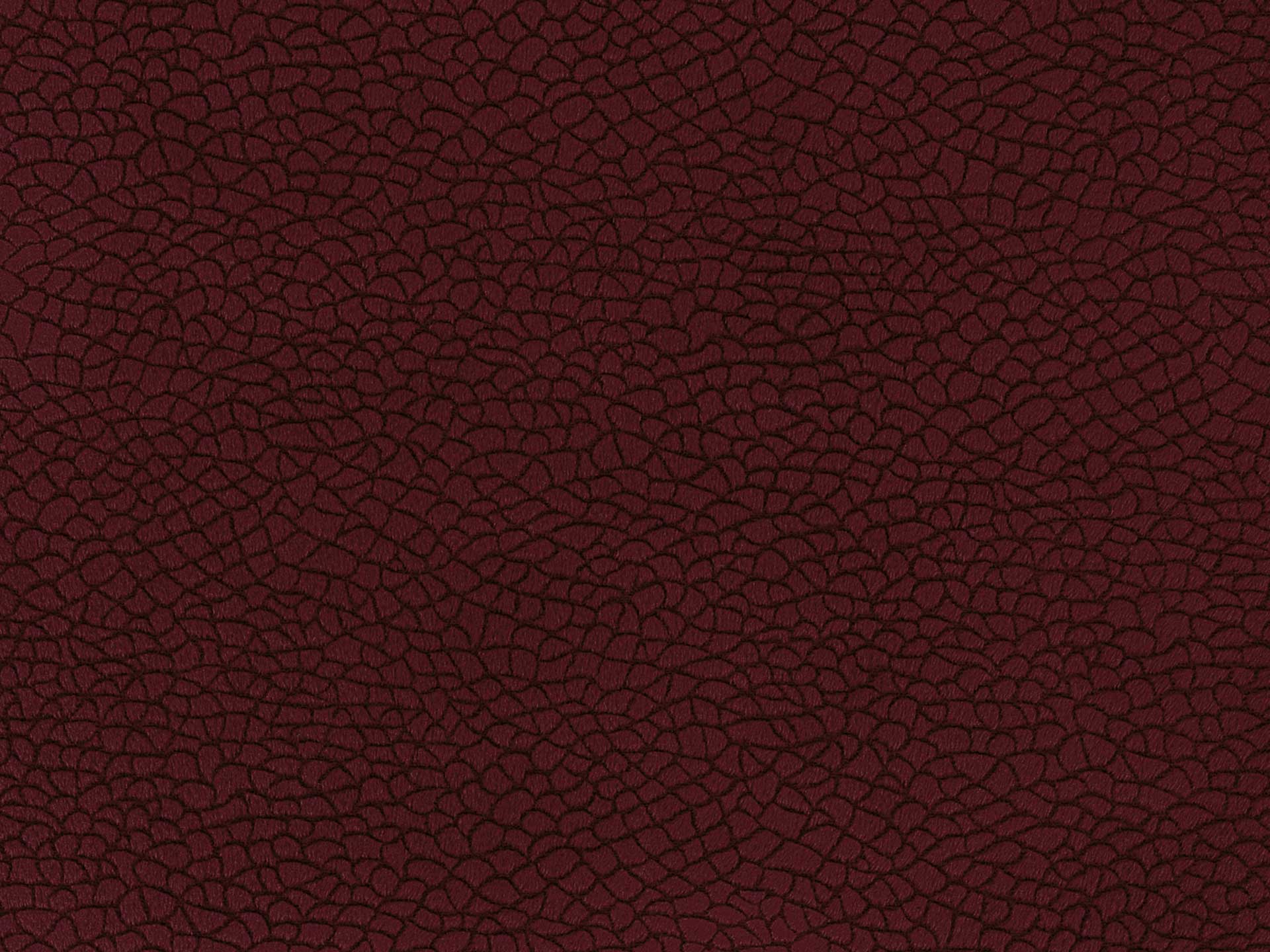 Bora Terra 53