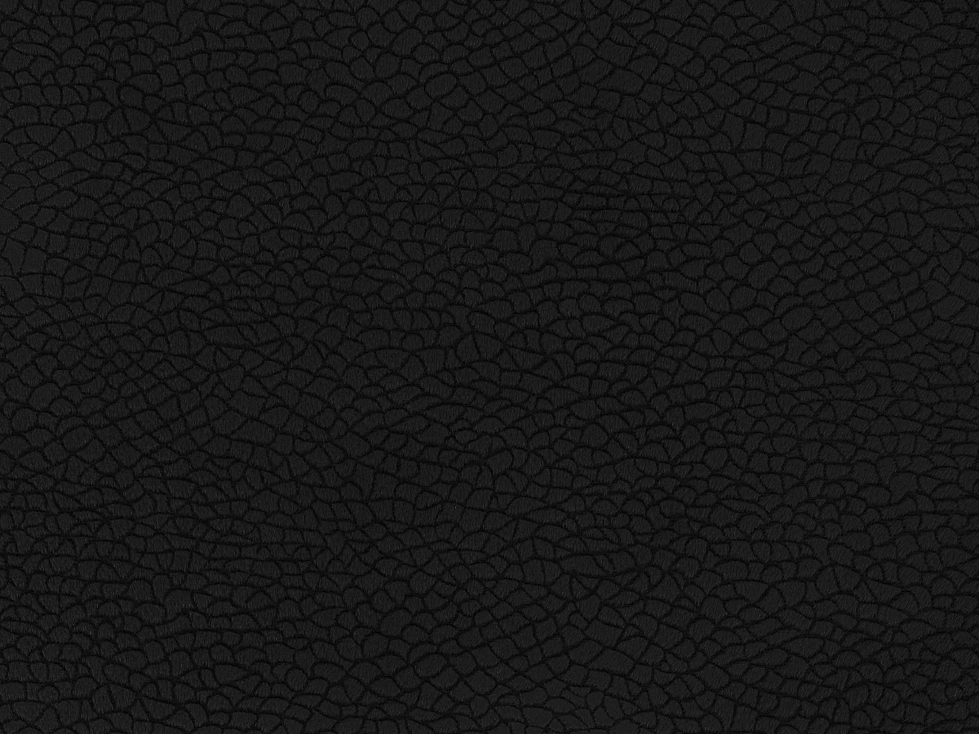Bora Terra 02