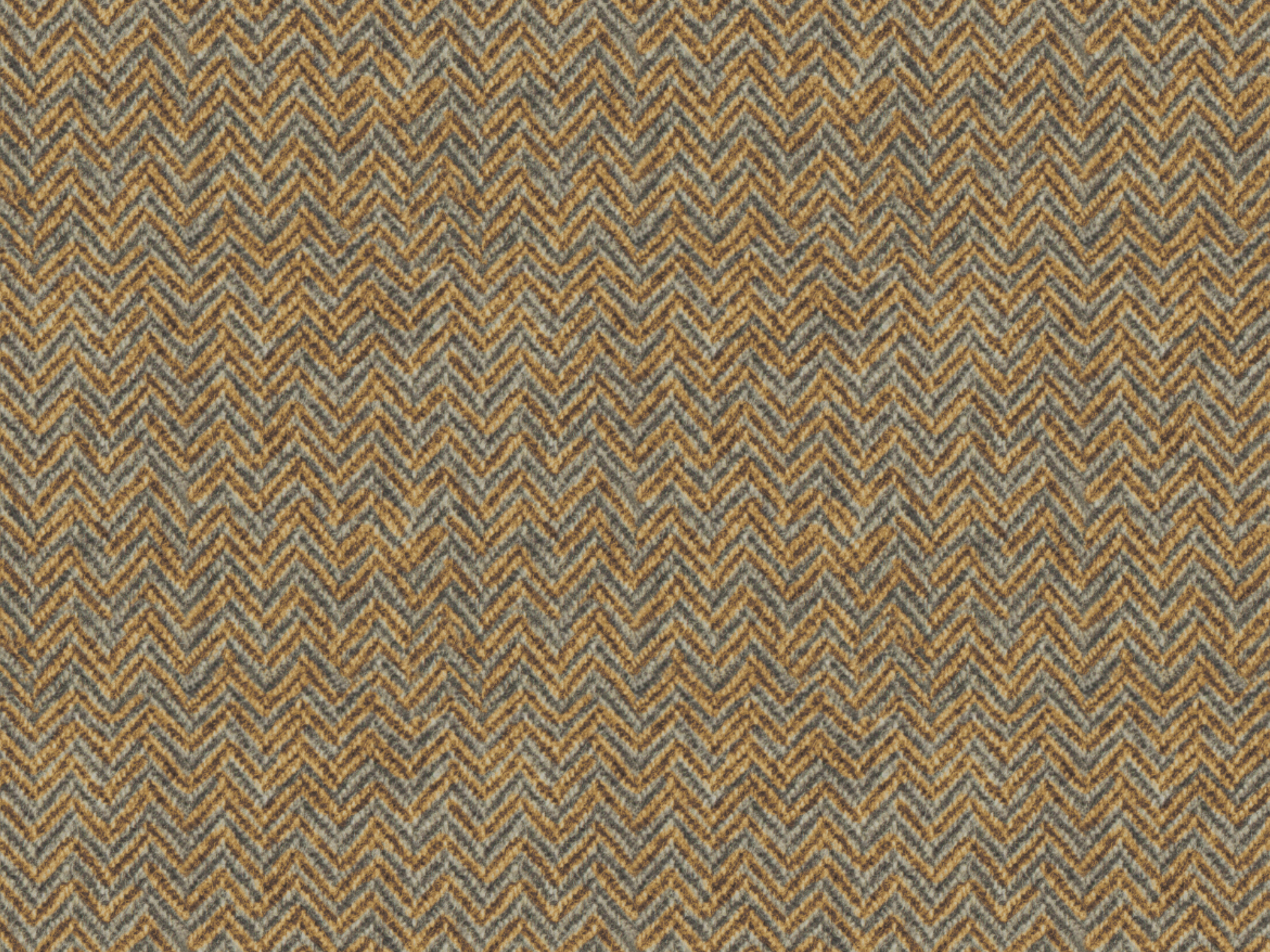 Lanera T49