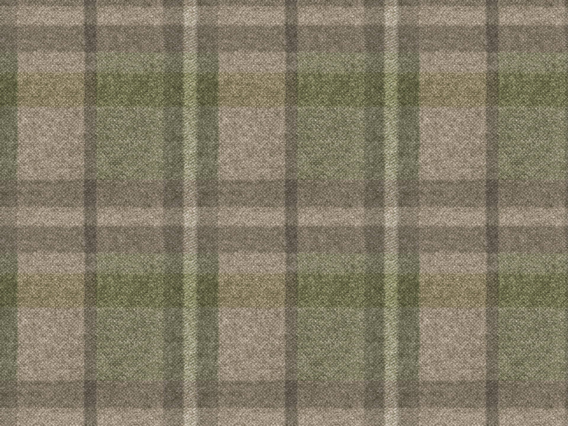 Scotland T38