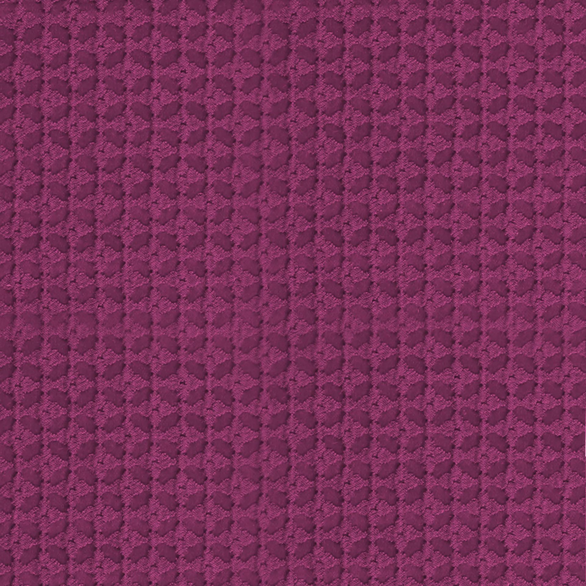 Rosella 06