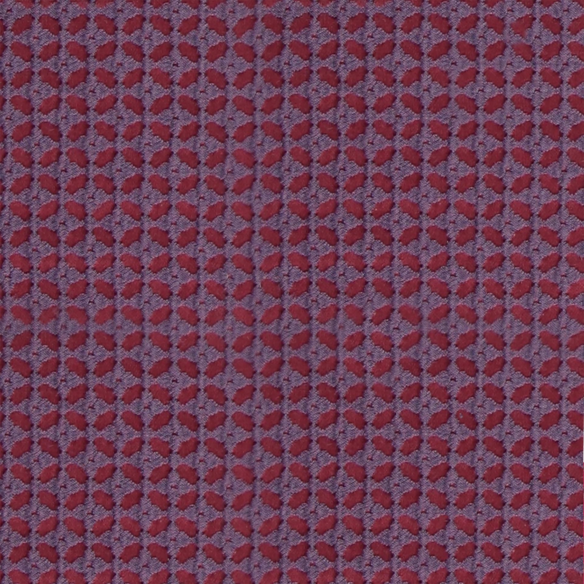 Rosella 04