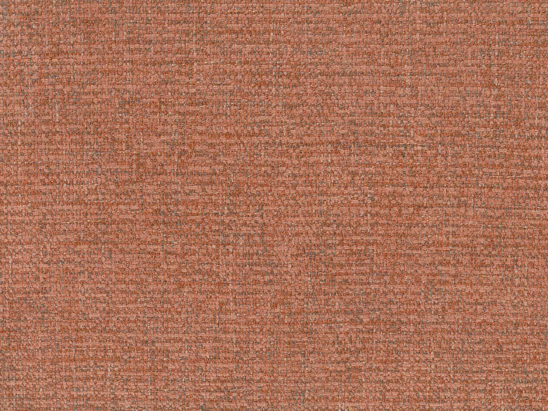 Flavia 49