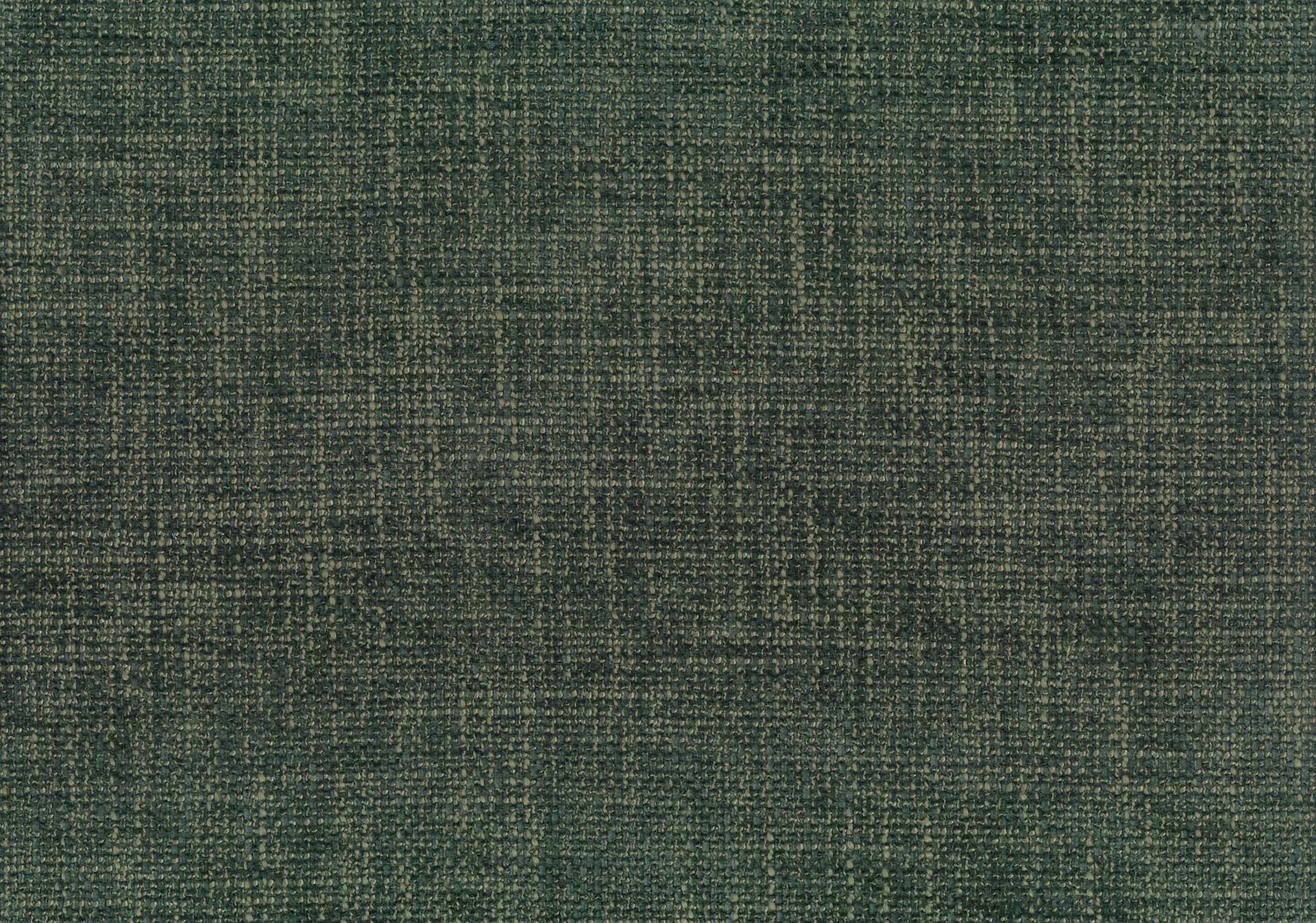 Lyra 48