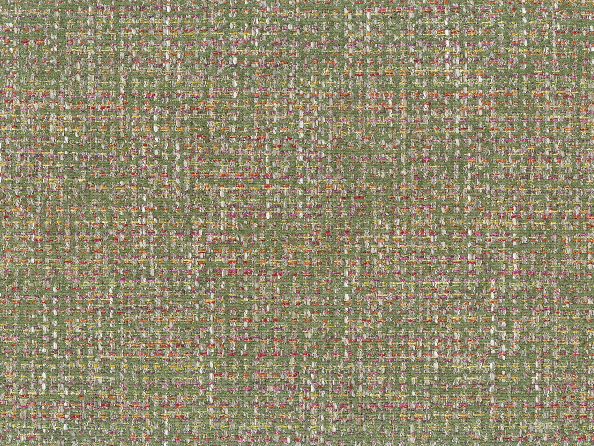 Norma 38