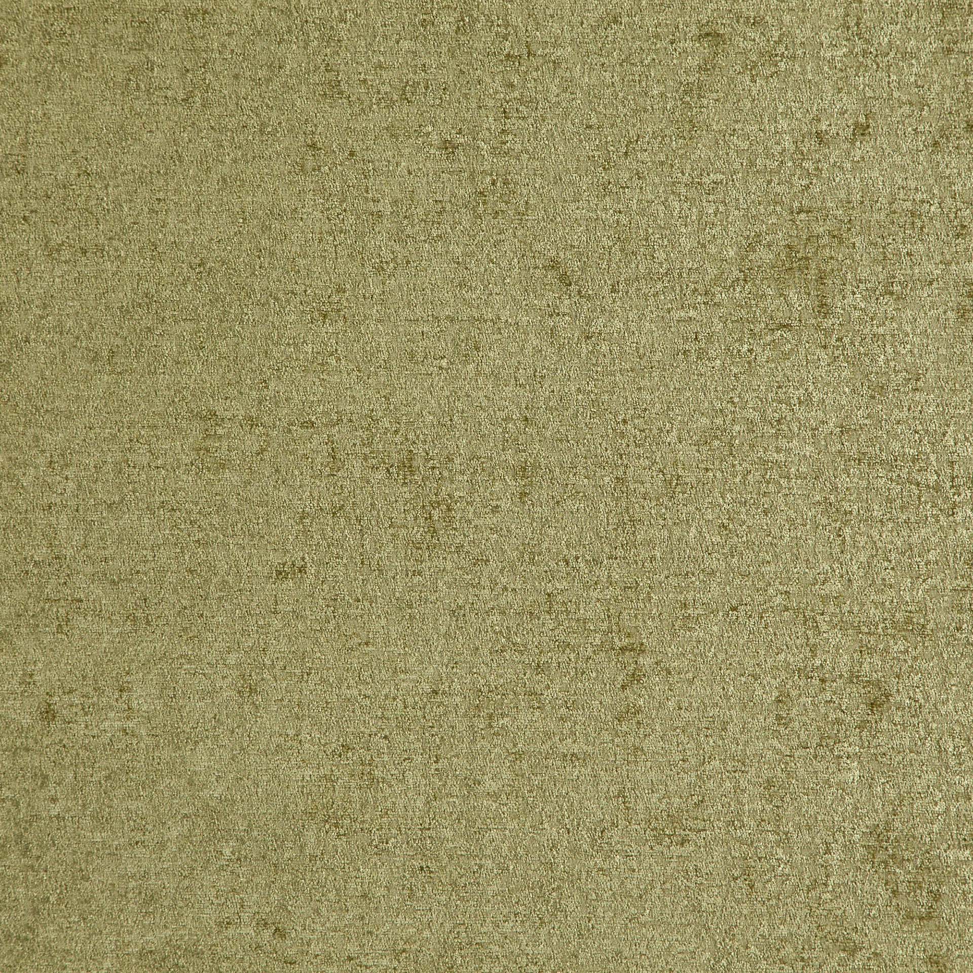 Petronia 08