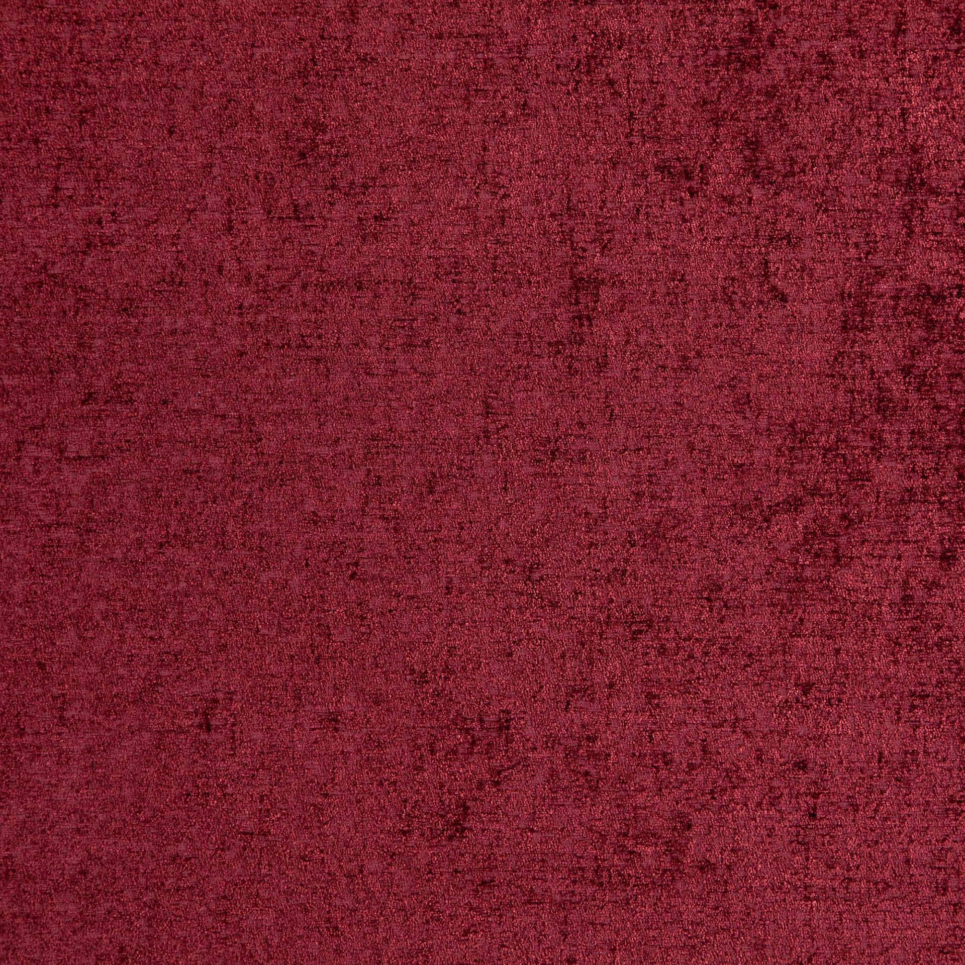 Petronia 05