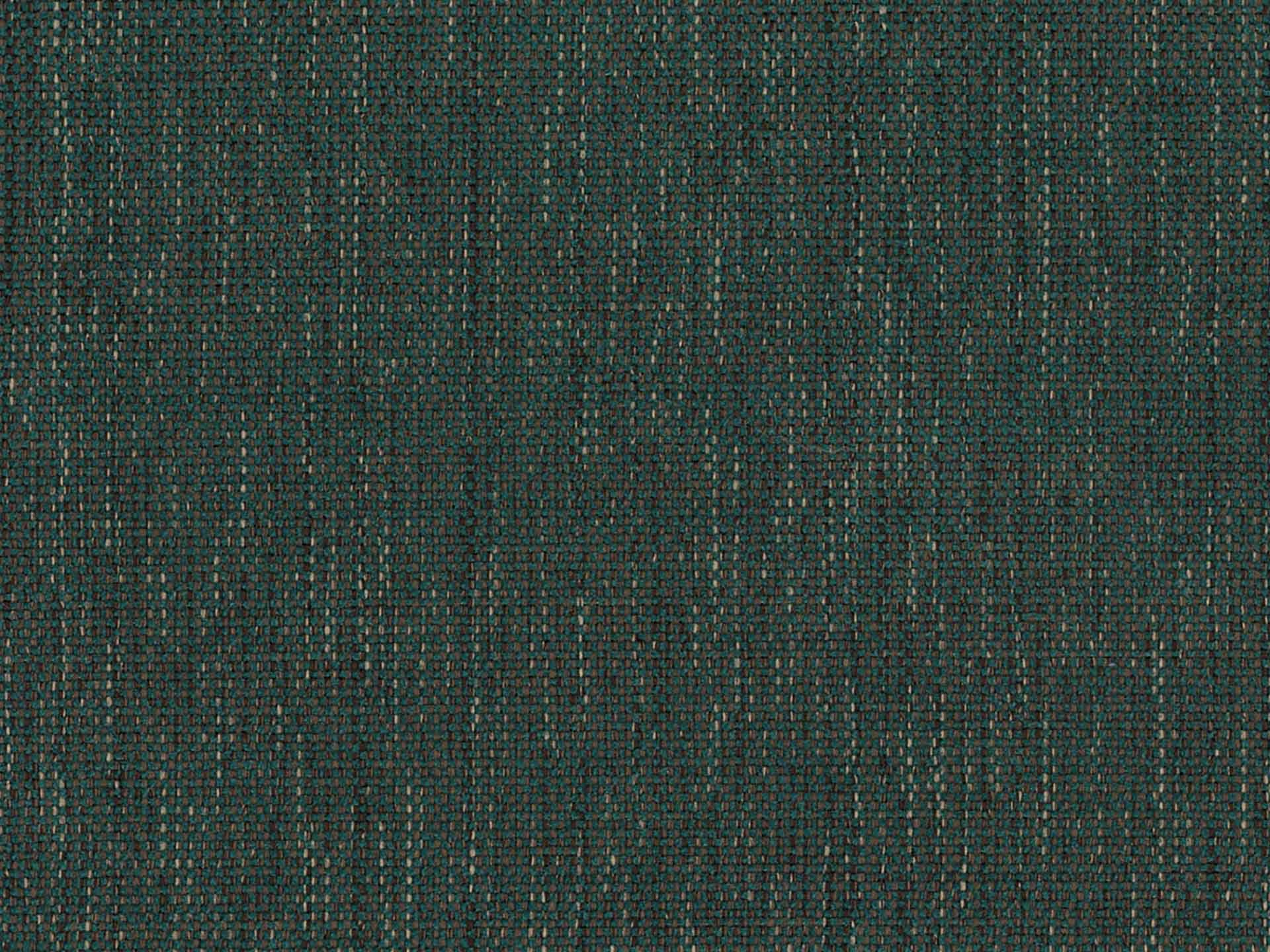 Sense 58
