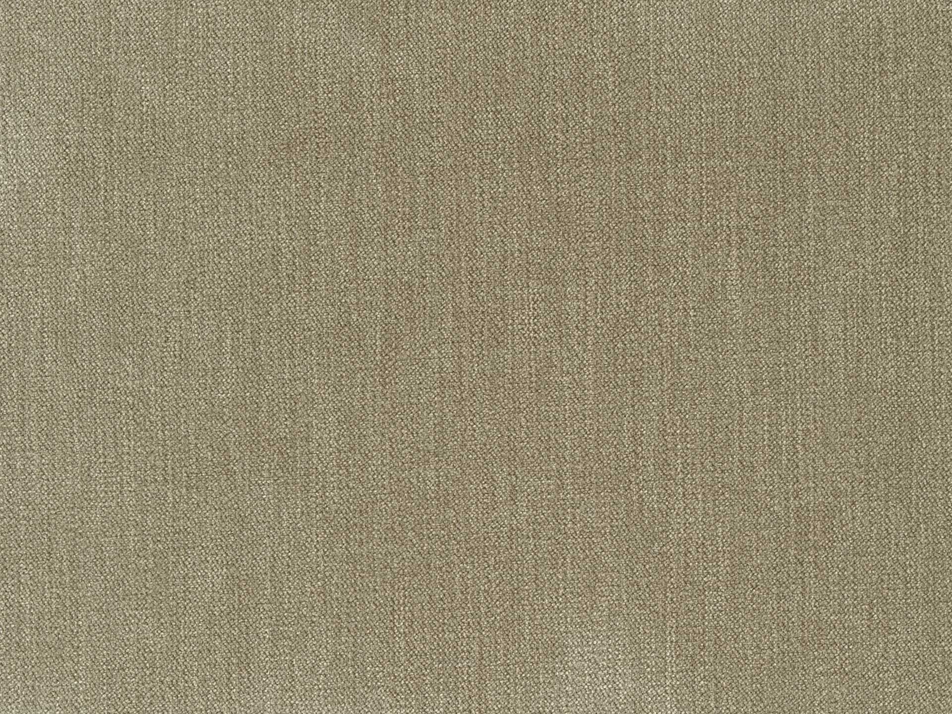 Chenille 44