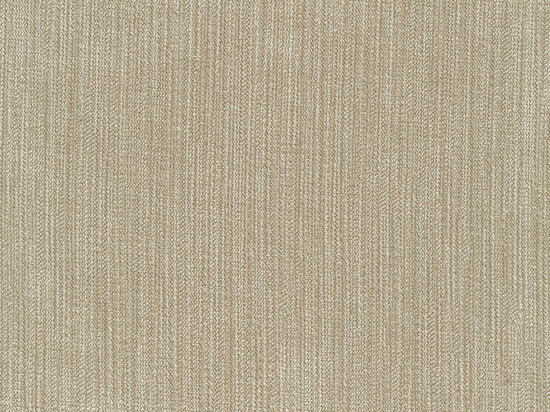 Chenille 24