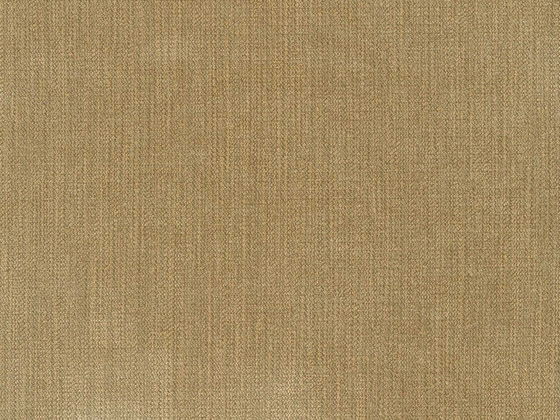 Chenille 34