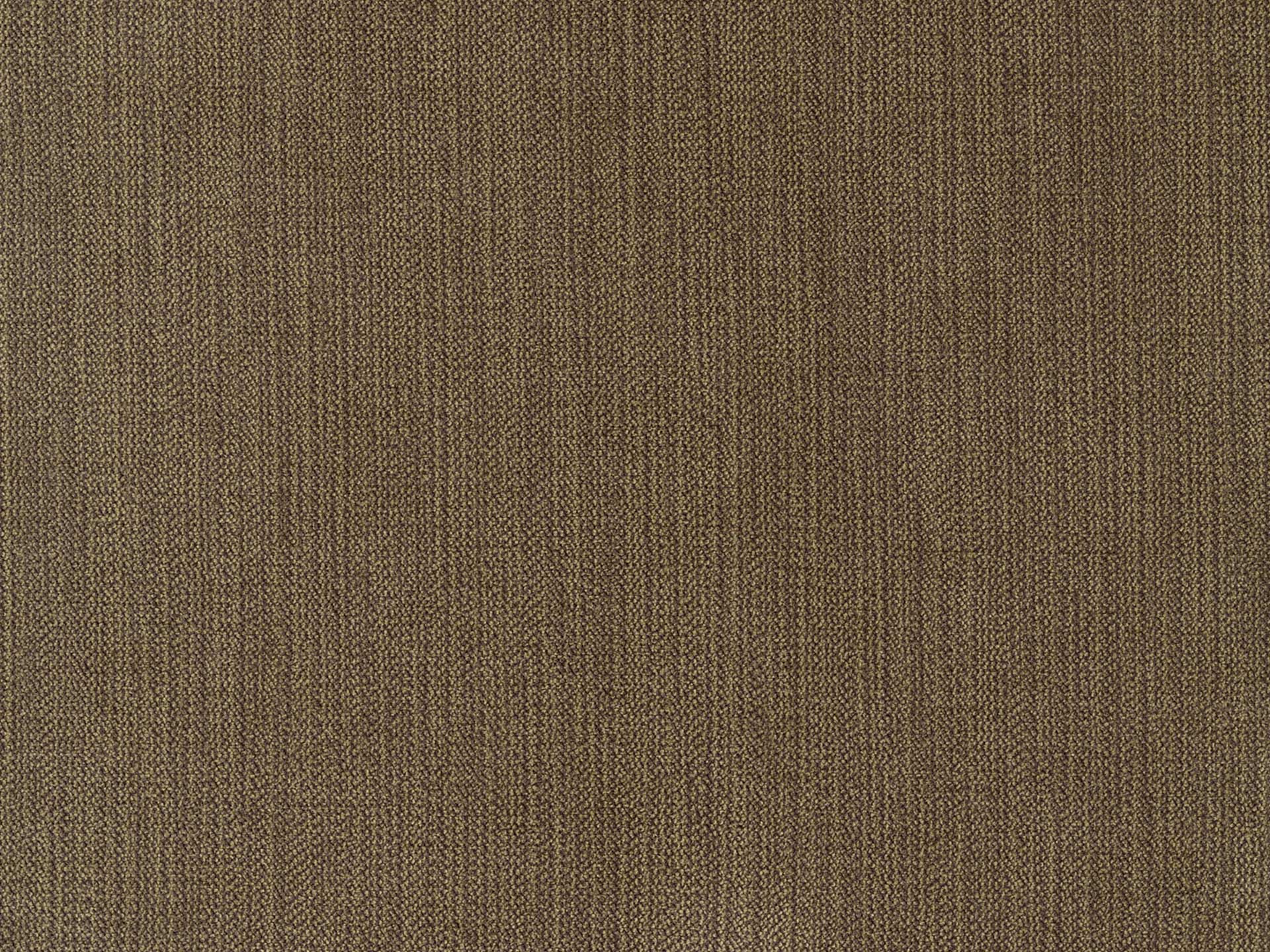 Chenille 54