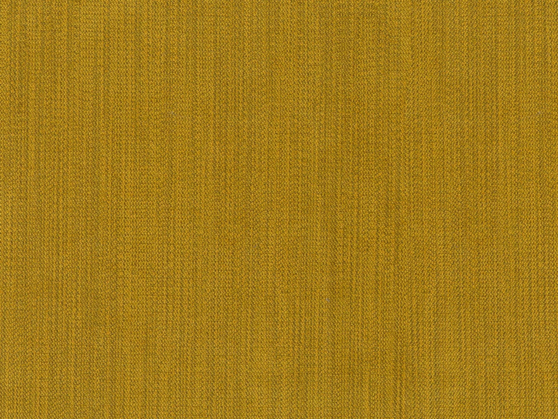 Chenille 35