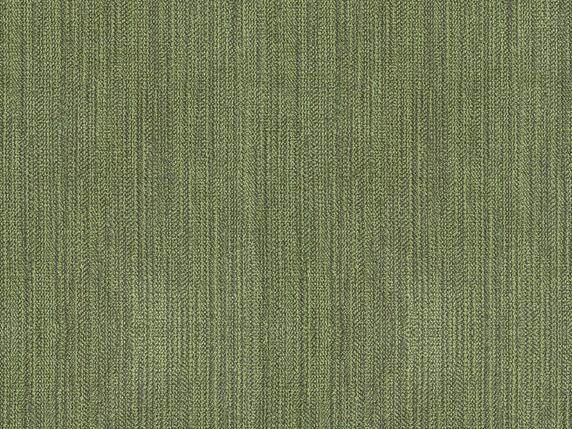 Chenille 38