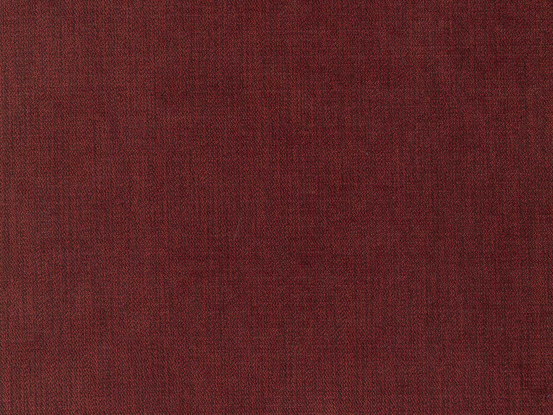 Chenille 53