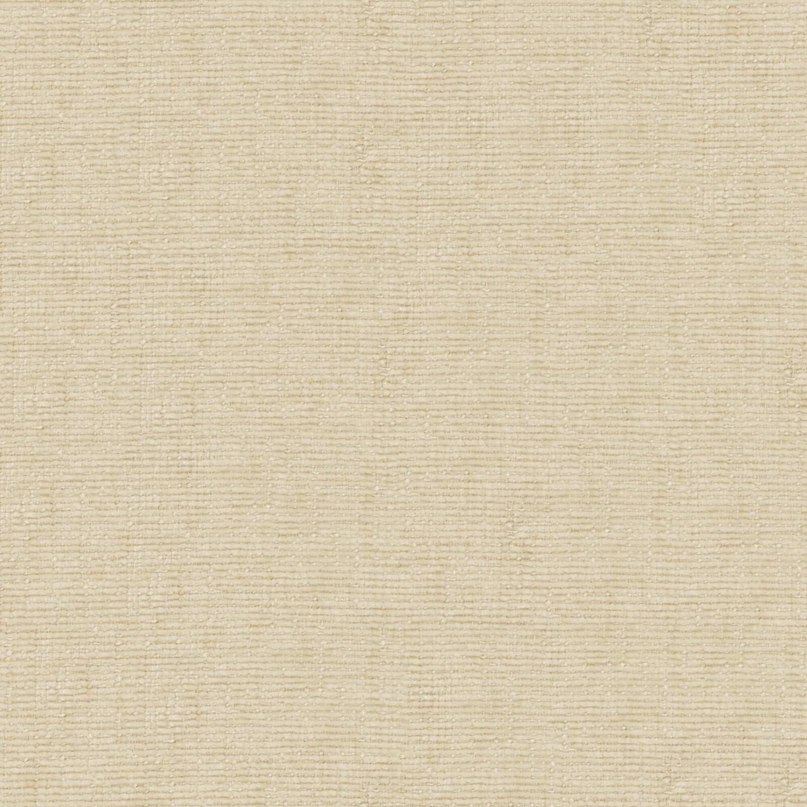 Petal 13