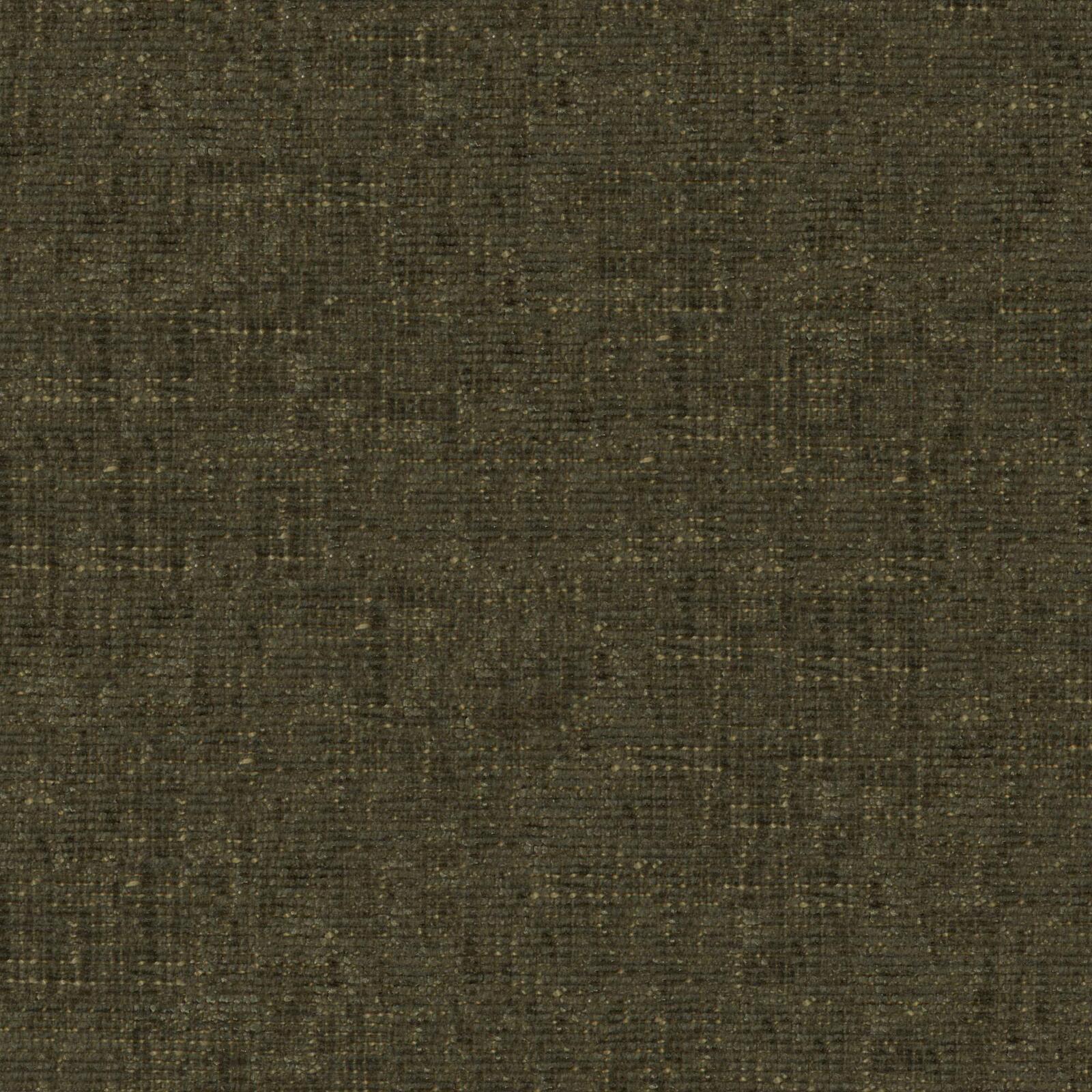 Petal 24
