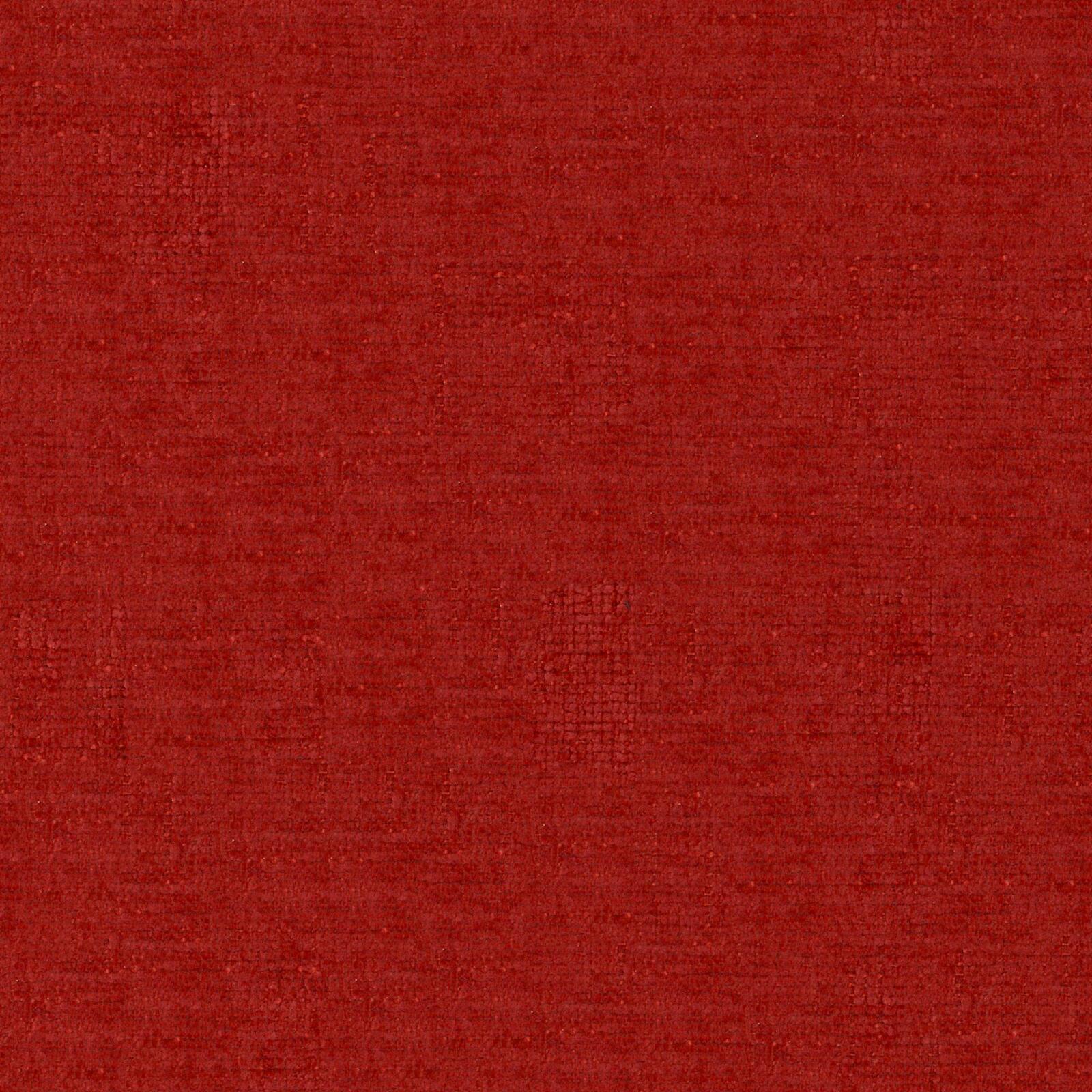 Petal 31