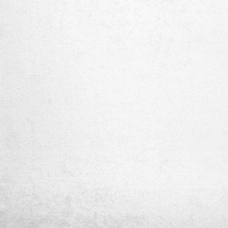 Skin 02