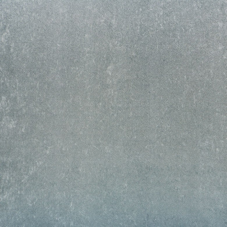 Skin 07