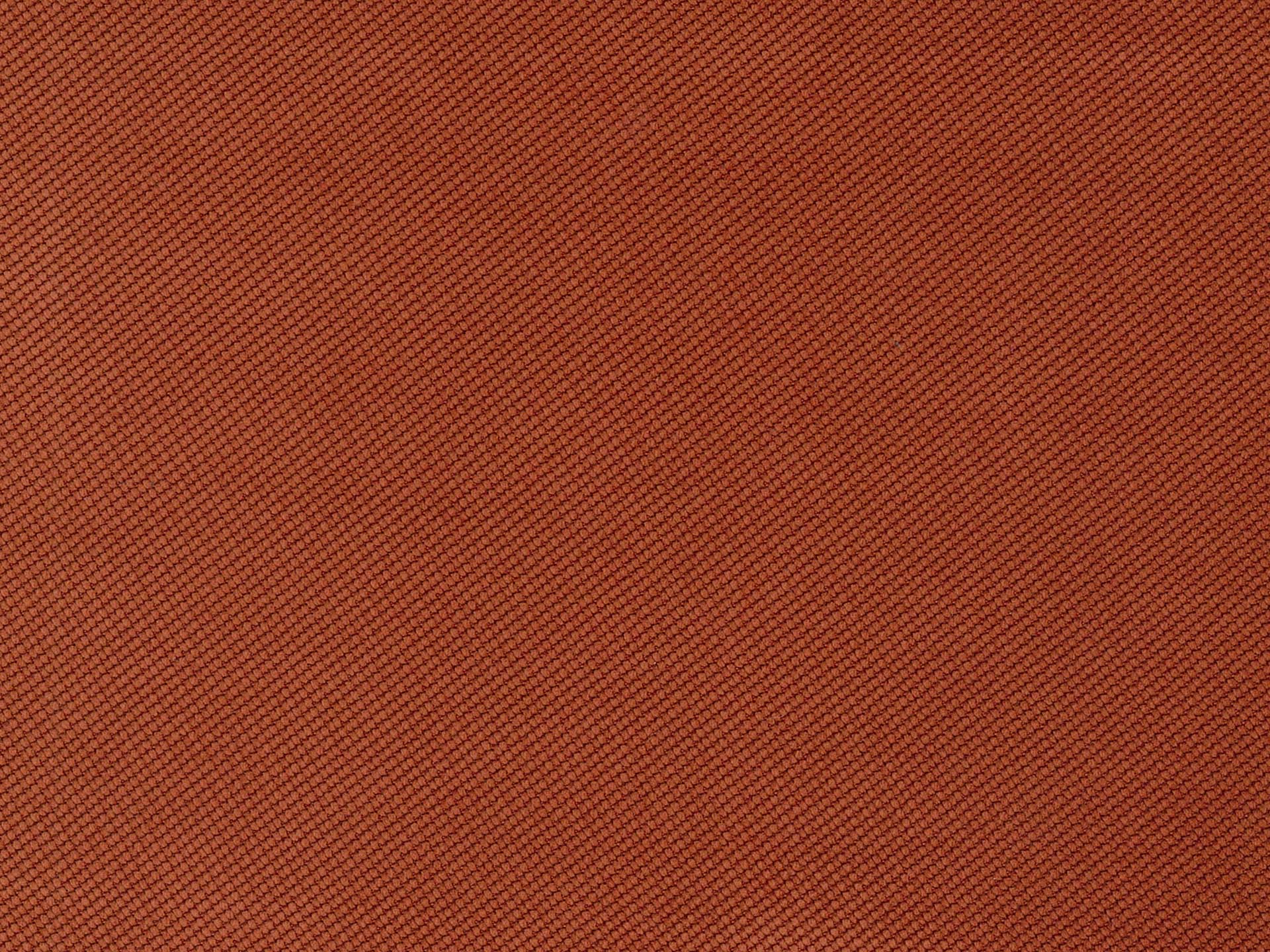 Verona 49