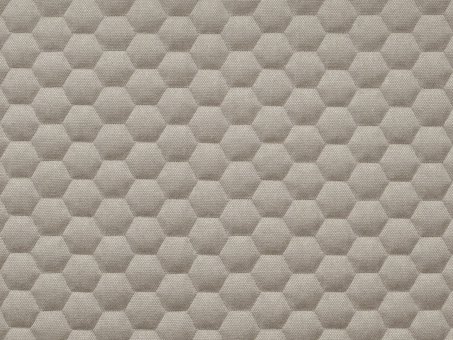 Bombay Hexa 14