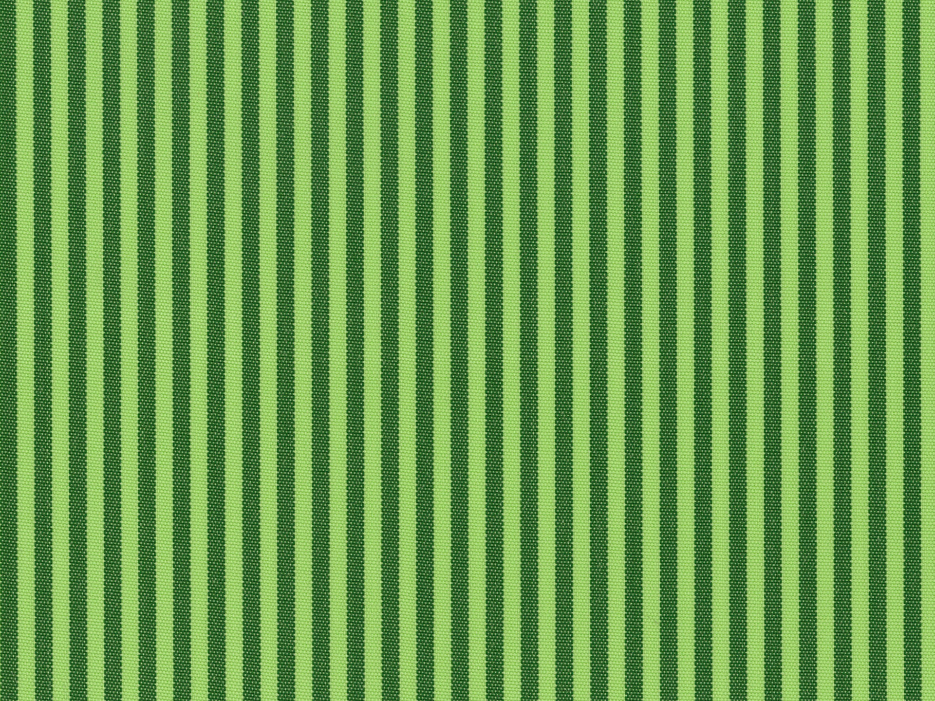 Coral 02