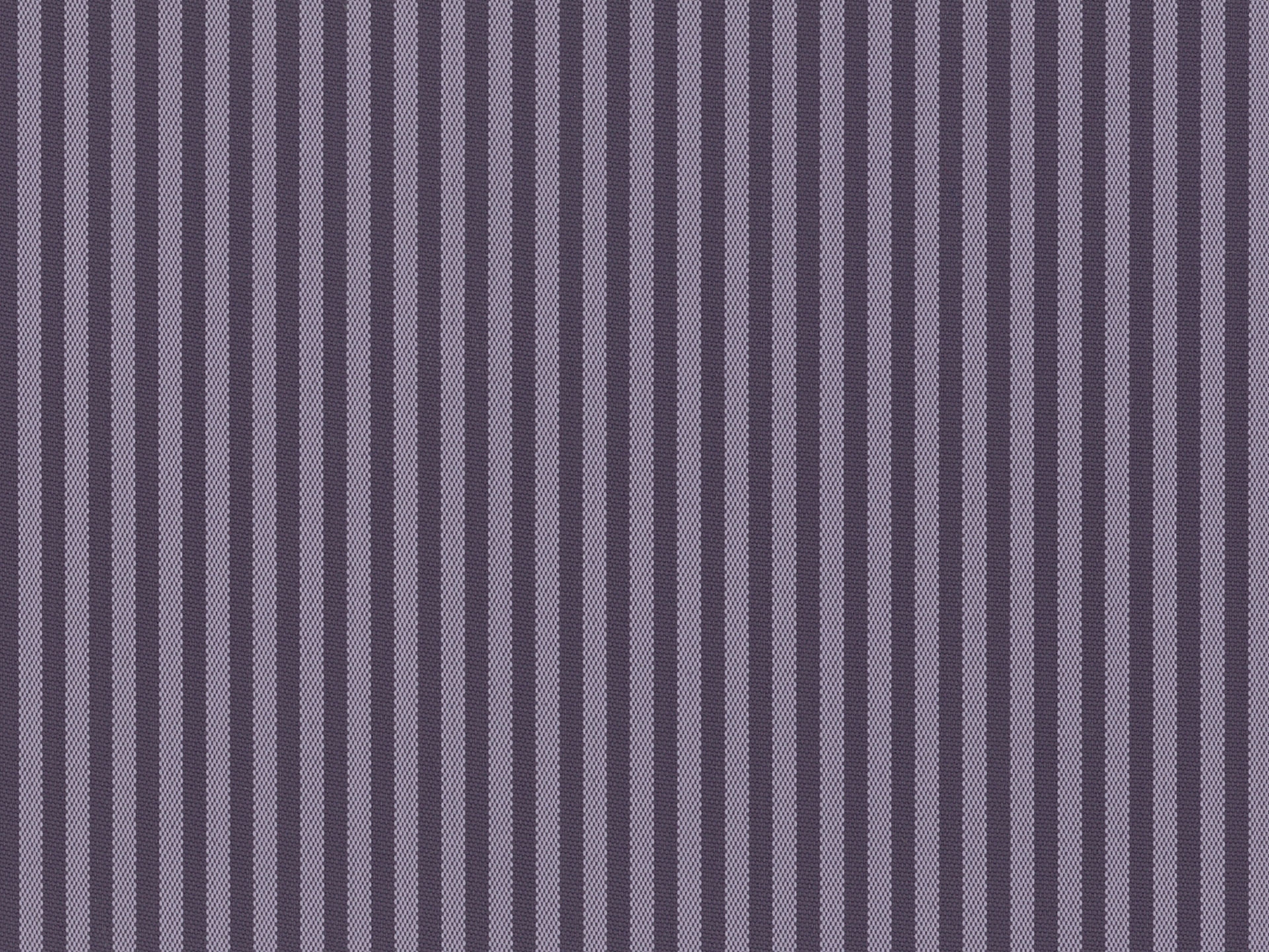 Coral 06