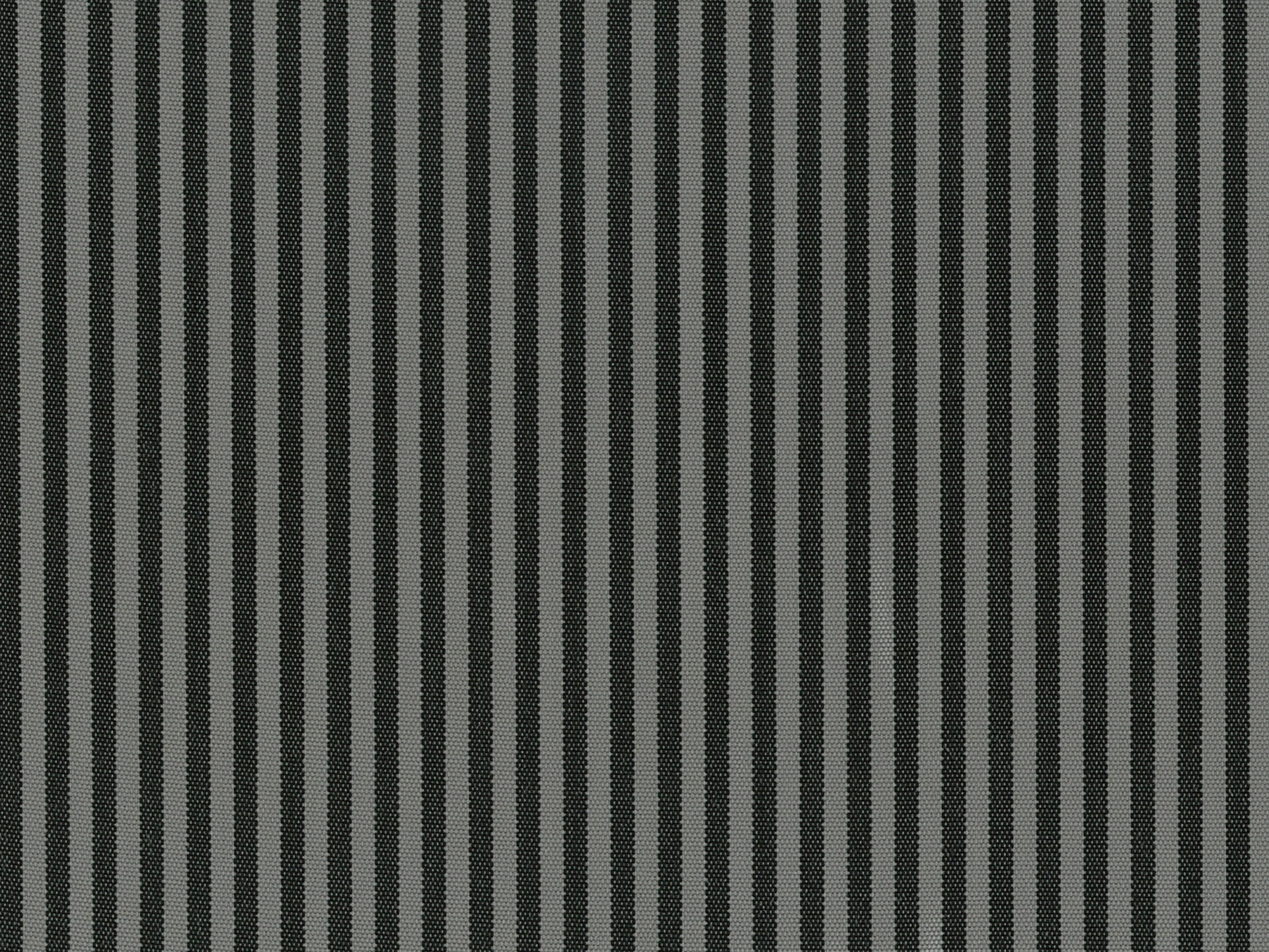 Coral 07
