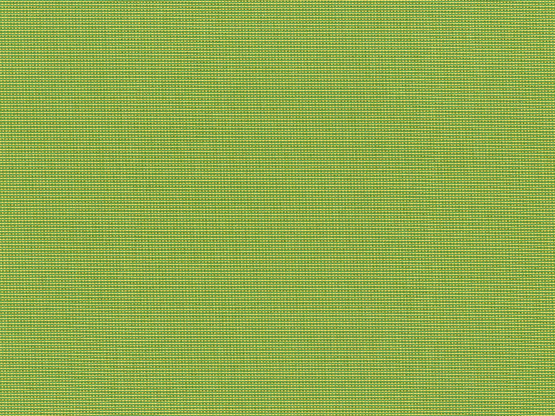 Marine 05